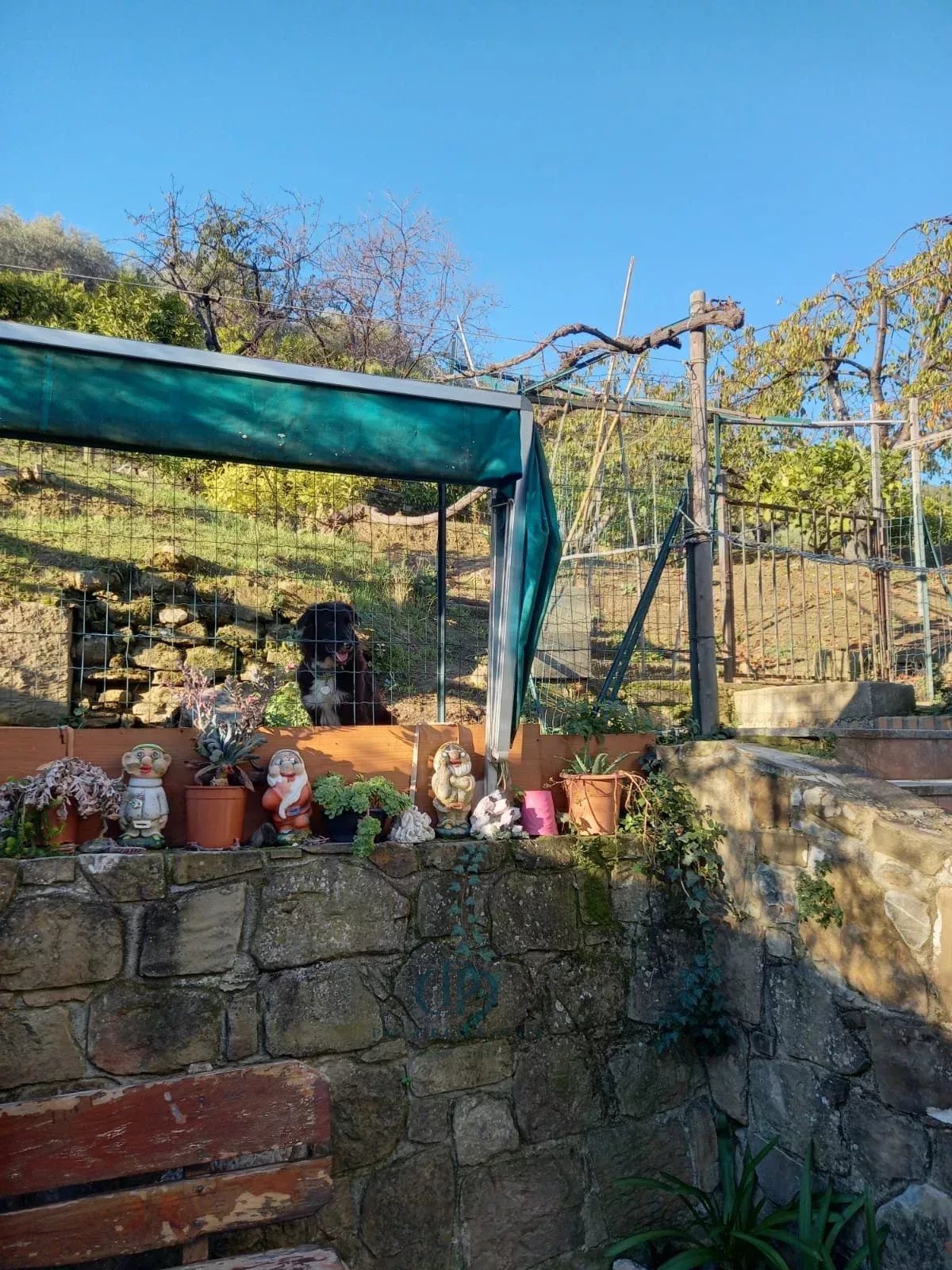 Villa Dolceacqua - picture 12