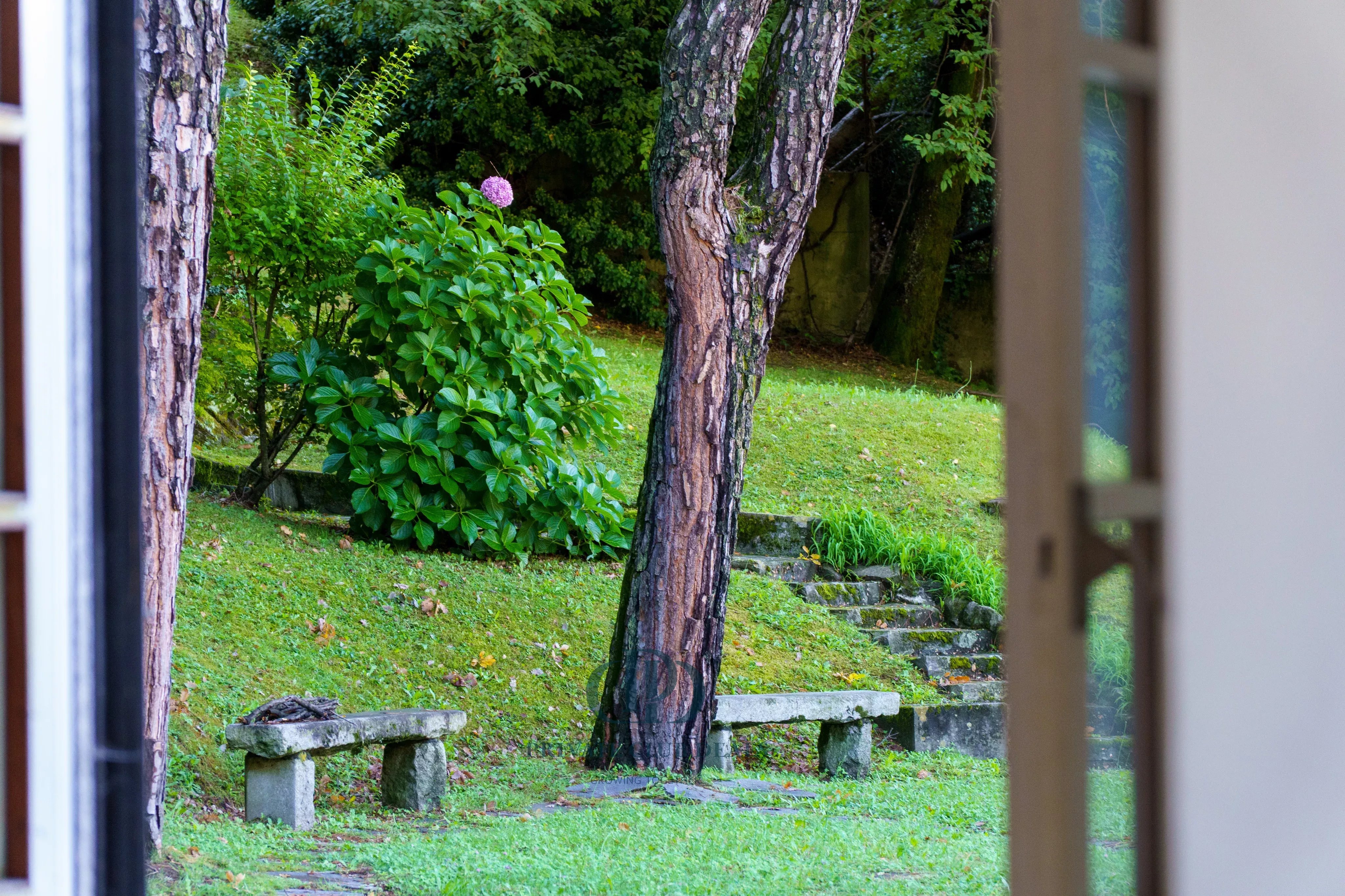 Villa Como - picture 35