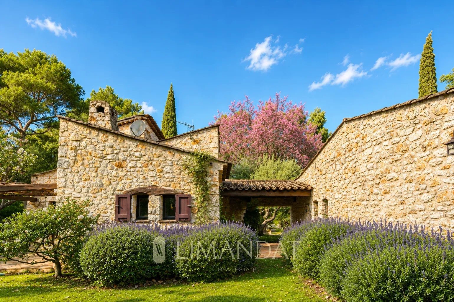Sole agent - Villa with 4 outbuildings with park - Swimming pool
