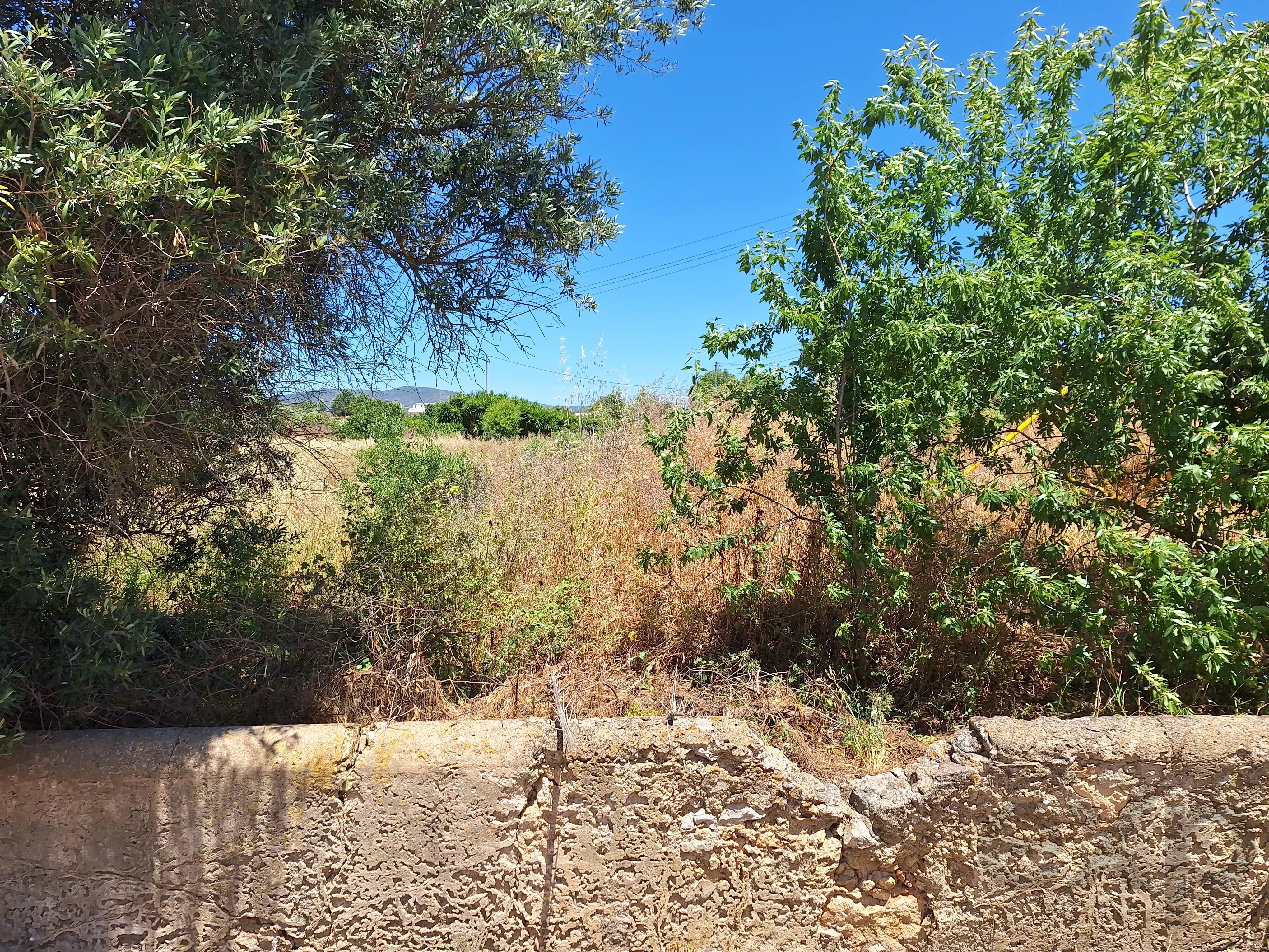 Rustic Land in Mar e Guerra 87032942 image 12