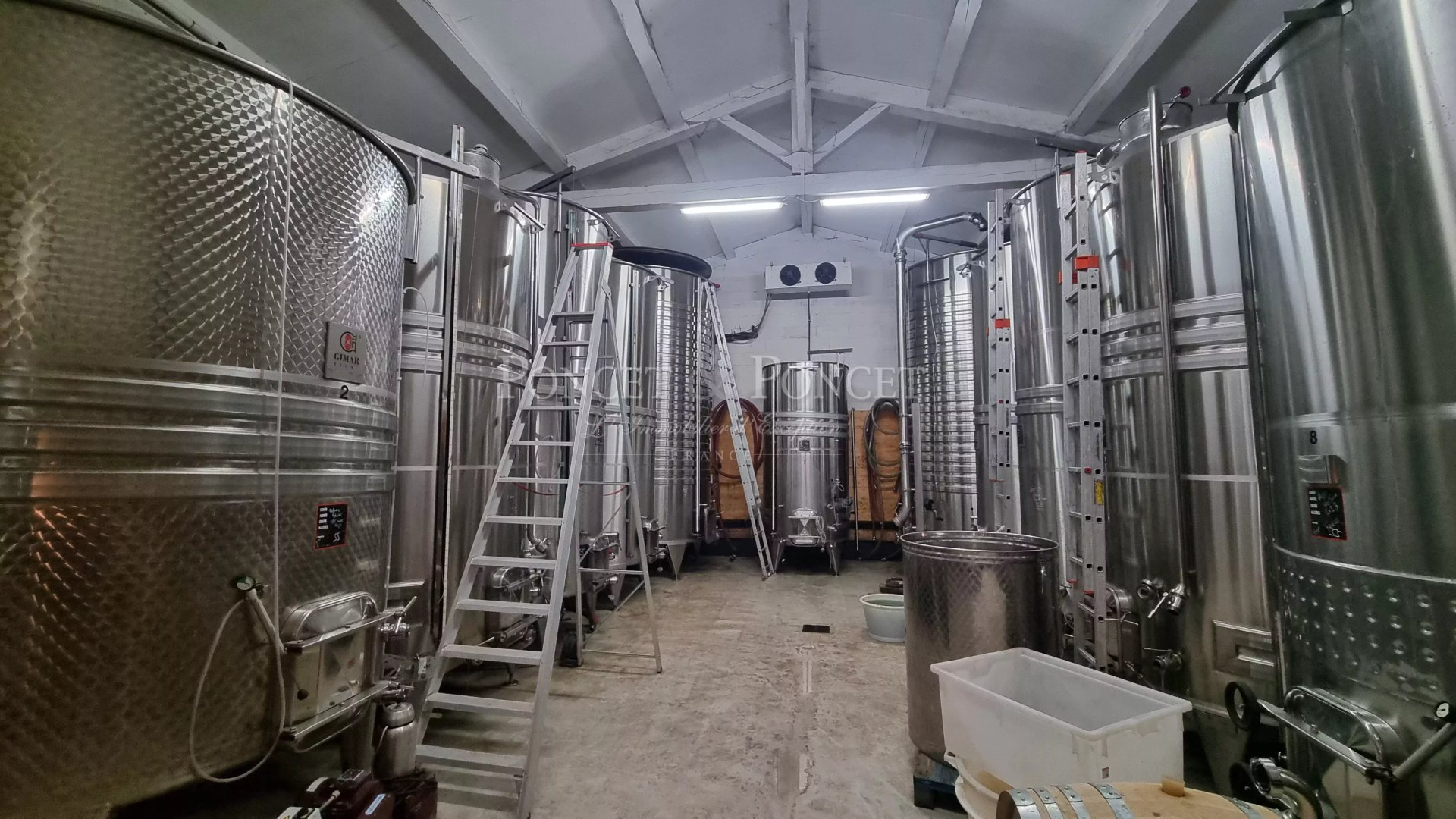 Vineyard's Image 19