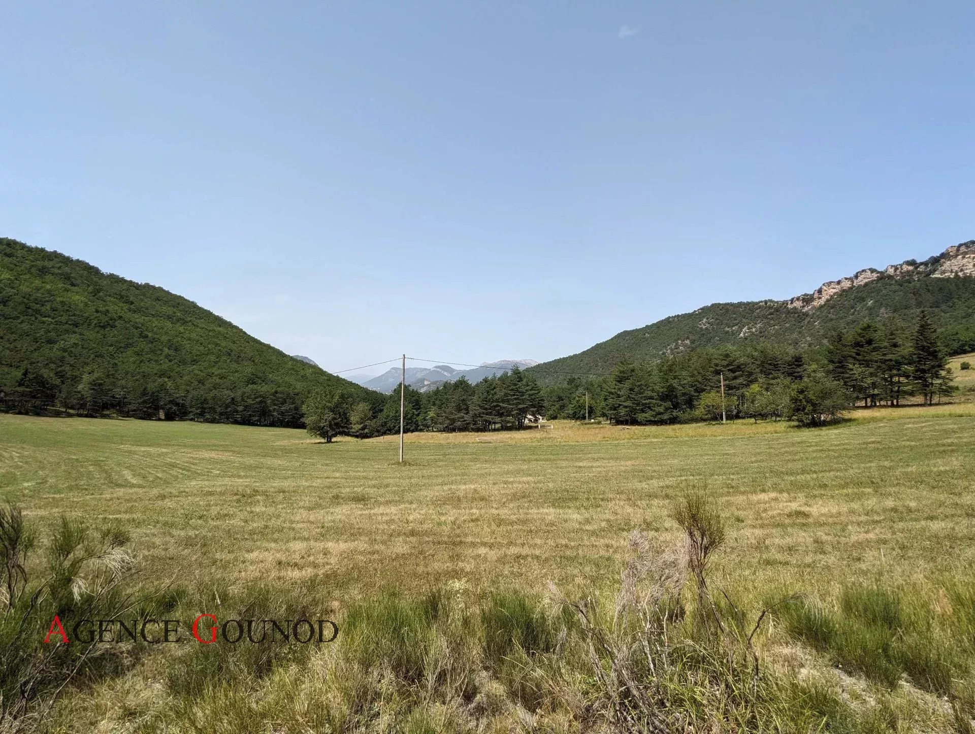 COLLONGUES - proche PUGET-THENIERS - Propriété agricole avec 3 h