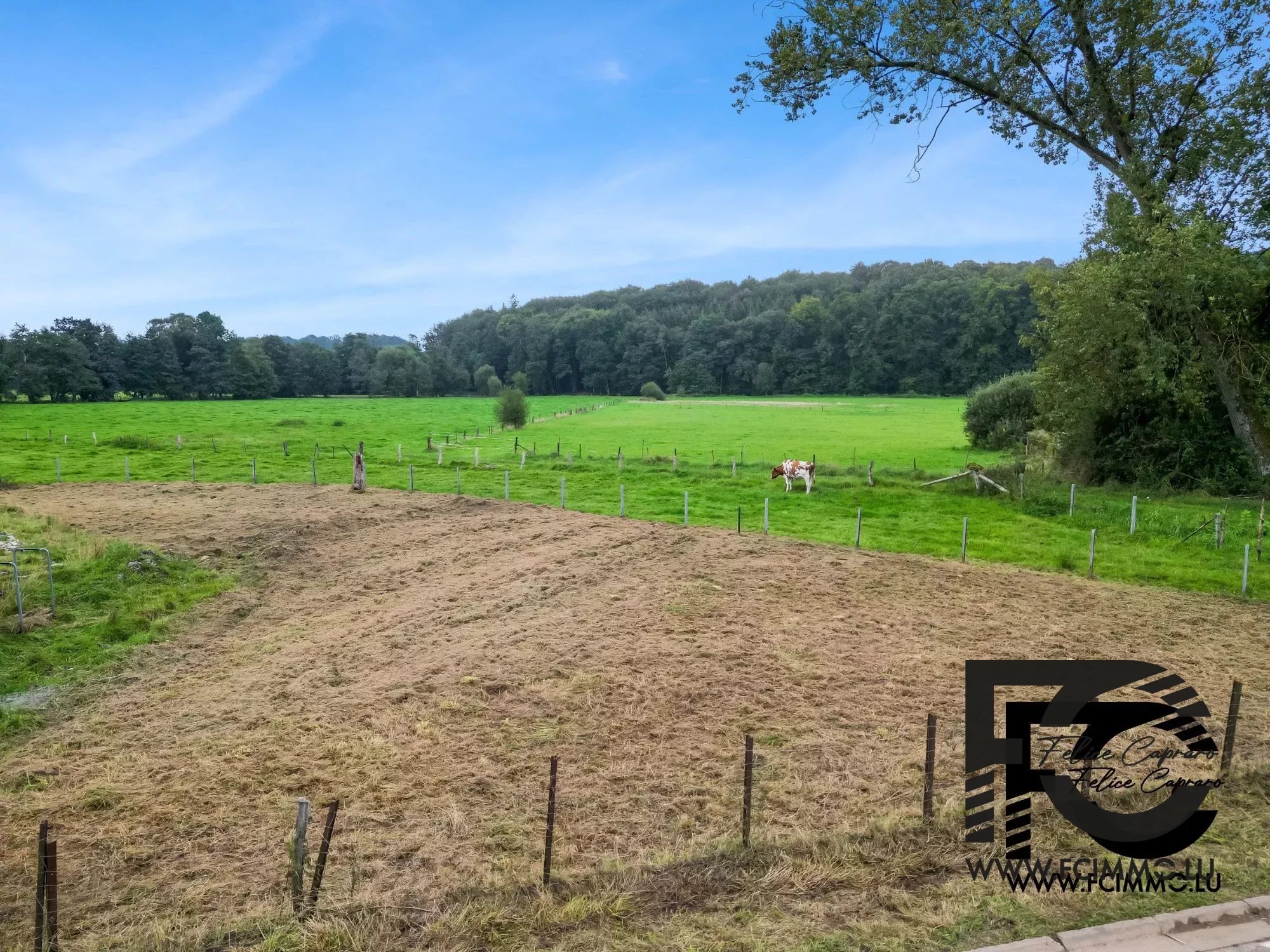 Vente Terrain Attert