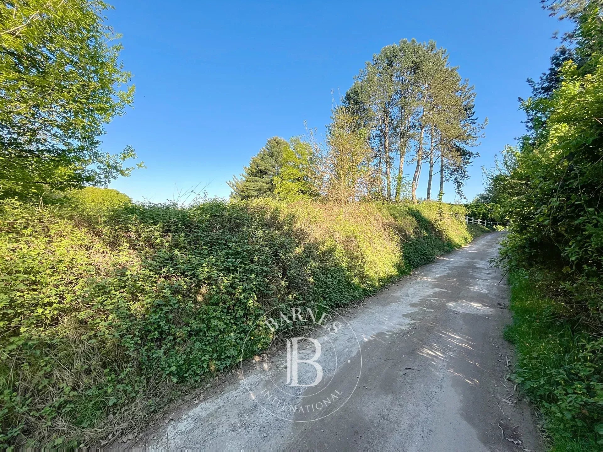 Exceptional plot for a prestigious villa in Lasne