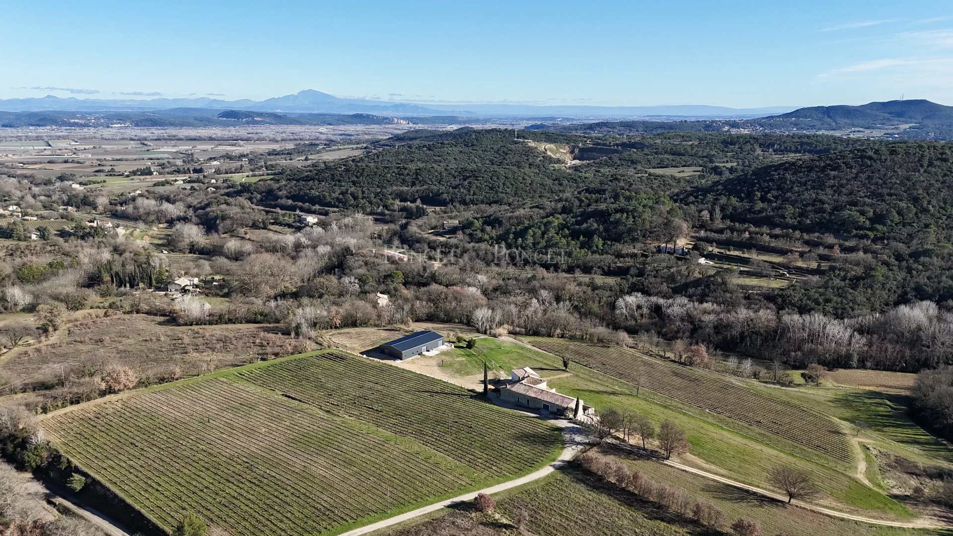 8 Bedroom Vineyard's Image 5