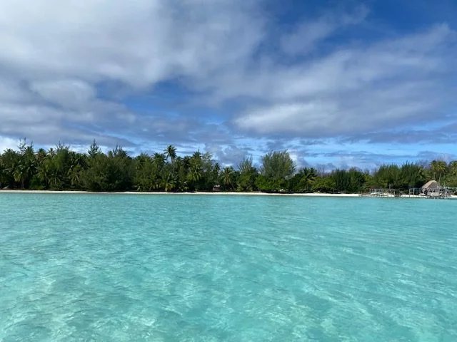 Magnifique  Tertain  BORA BORA  Polynésie française