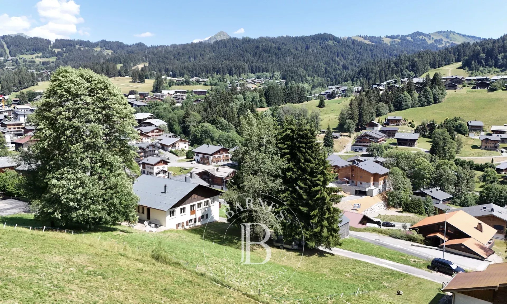 Chalet Les Gets  -  ref 86121590 (picture 1)