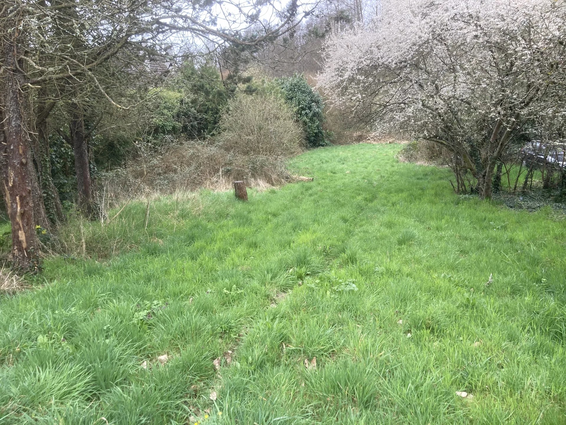 Vente Terrain constructible Raizeux
