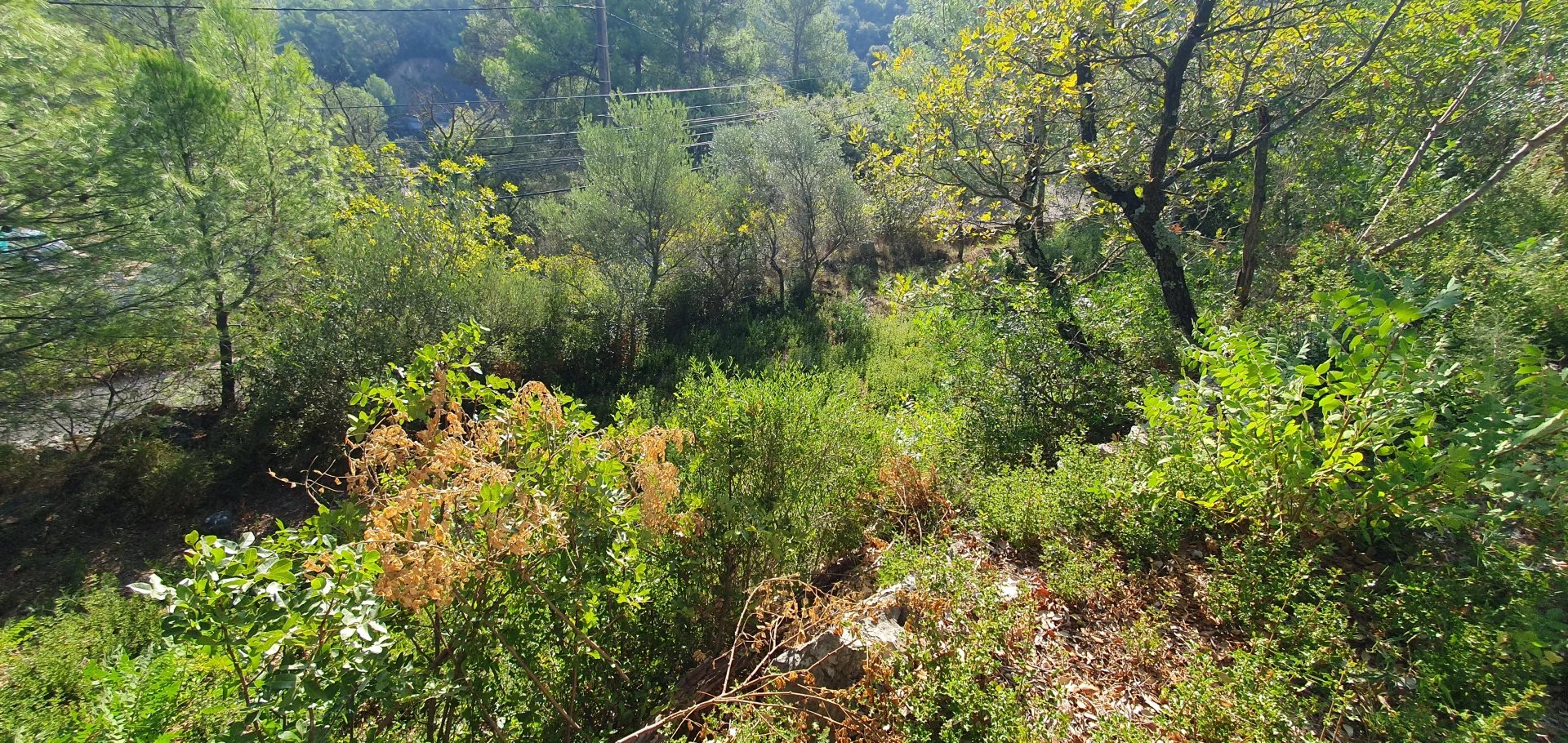 Agence immobilière de SAS 2GM