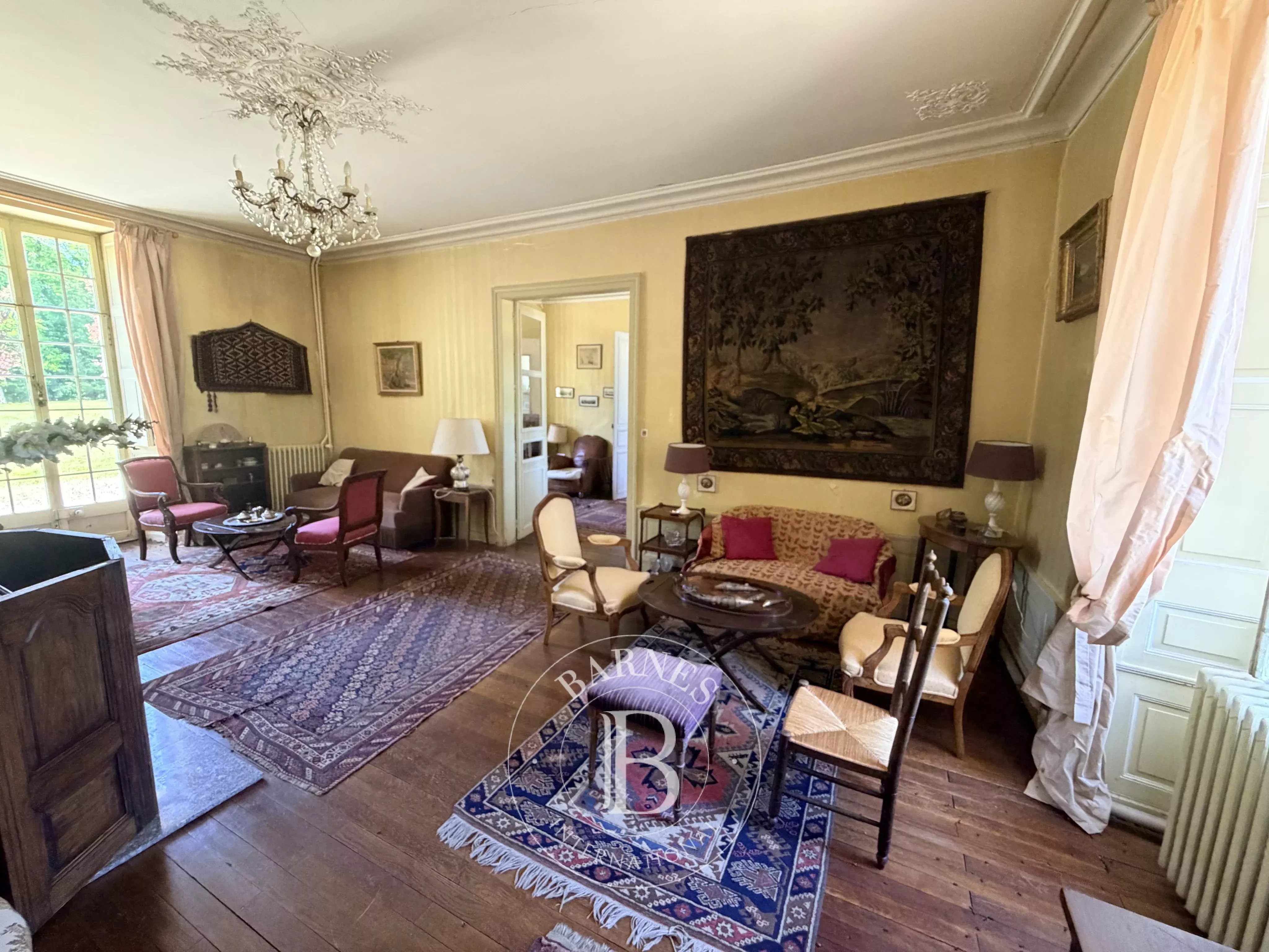 Vatan  - Château 19 Pi&egrave;ces 13 Chambres - picture 6