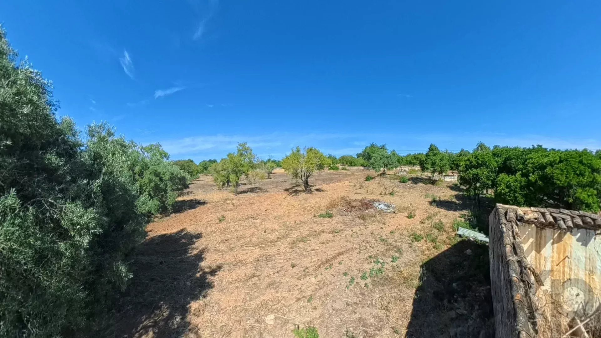 Traditional Countryside Property in Santo Estêvão, Tavira 87172633 image 12