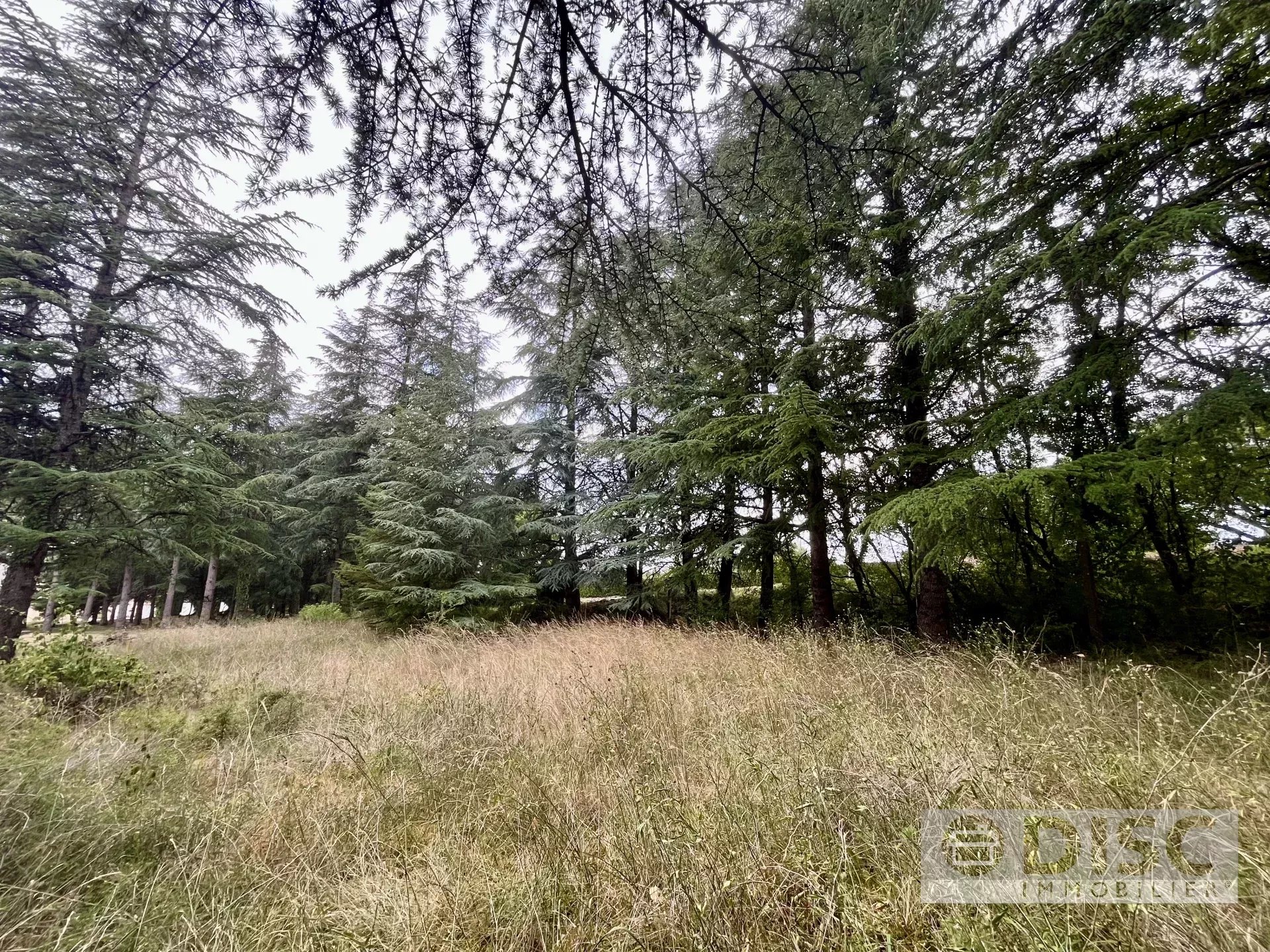 Terrain constructible de 1 100 m² – À 10 minutes du centre-ville de Cahors - Photo 2
