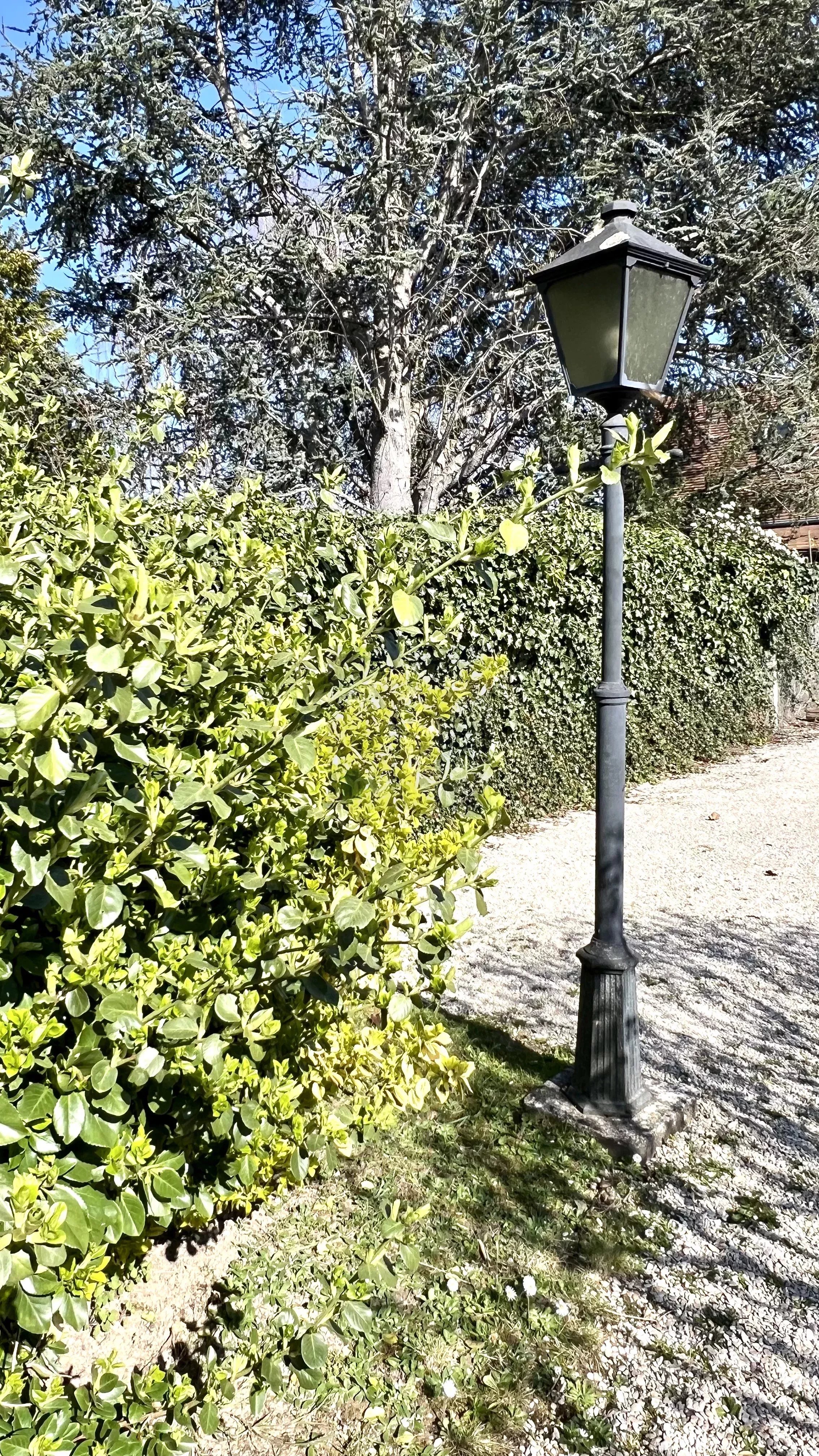 Agence immobilière de Agence l'Angelus de Barbizon