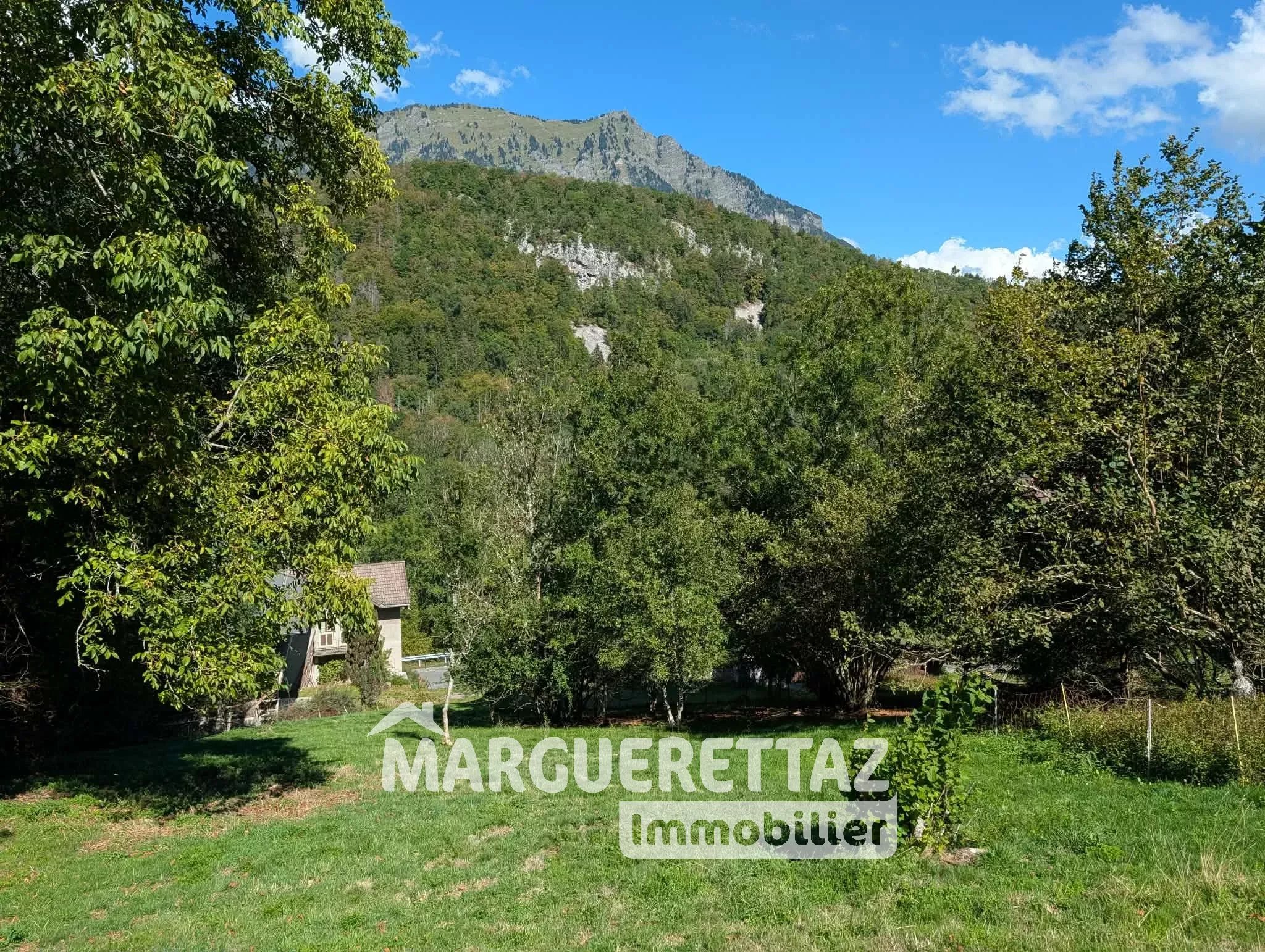 Vente Terrain Mieussy