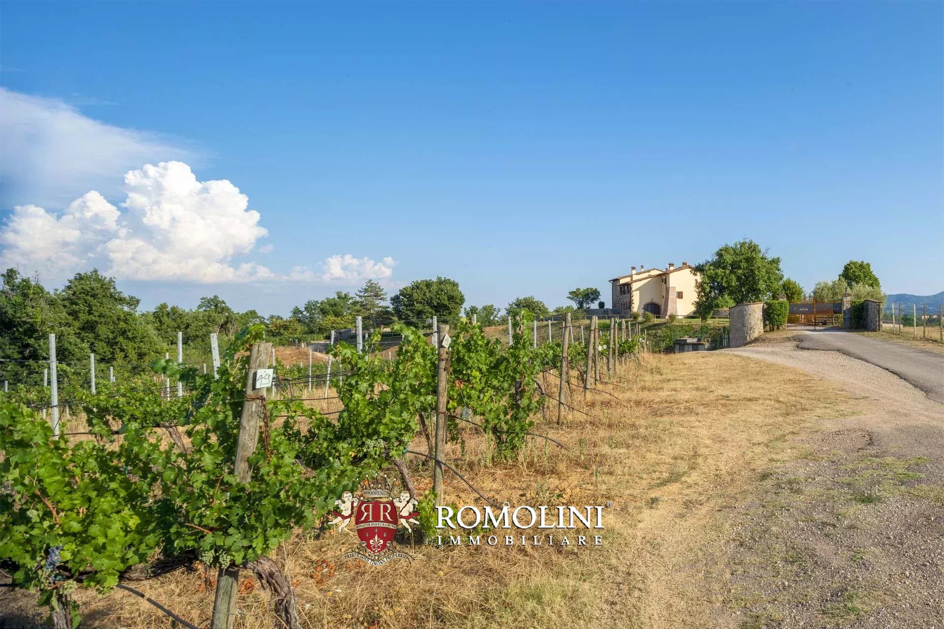 4 Bedroom Vineyard's Image 16