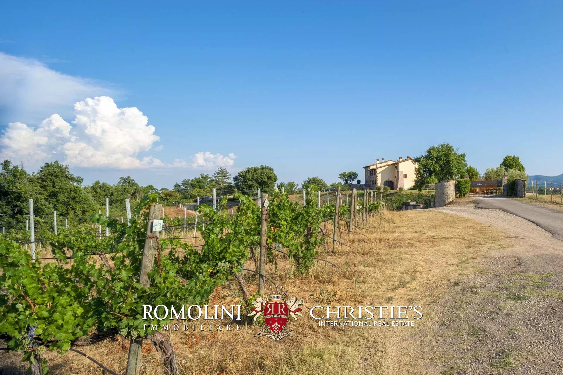 4 Bedroom Vineyard's Image 16