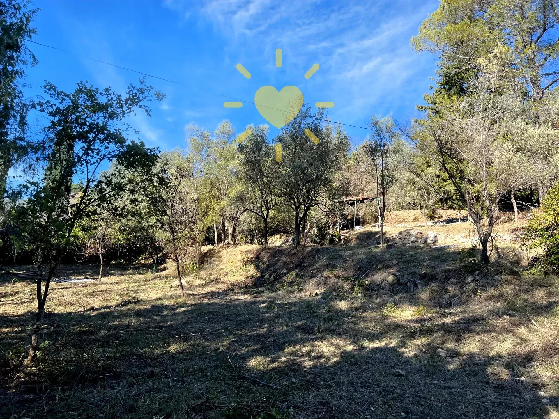 Agence immobilière de AGENCE PROVARIM CLAVIERS INTERNATIONAL