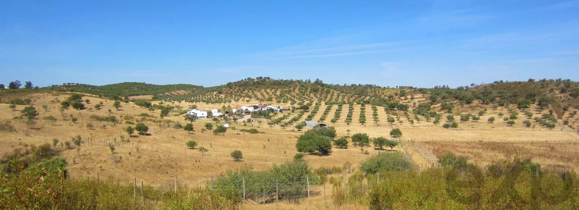Herdade Cativante in Alentejo: A Tourist Investment with Immeasurable Potential 🌿✨ 86362095 image 62