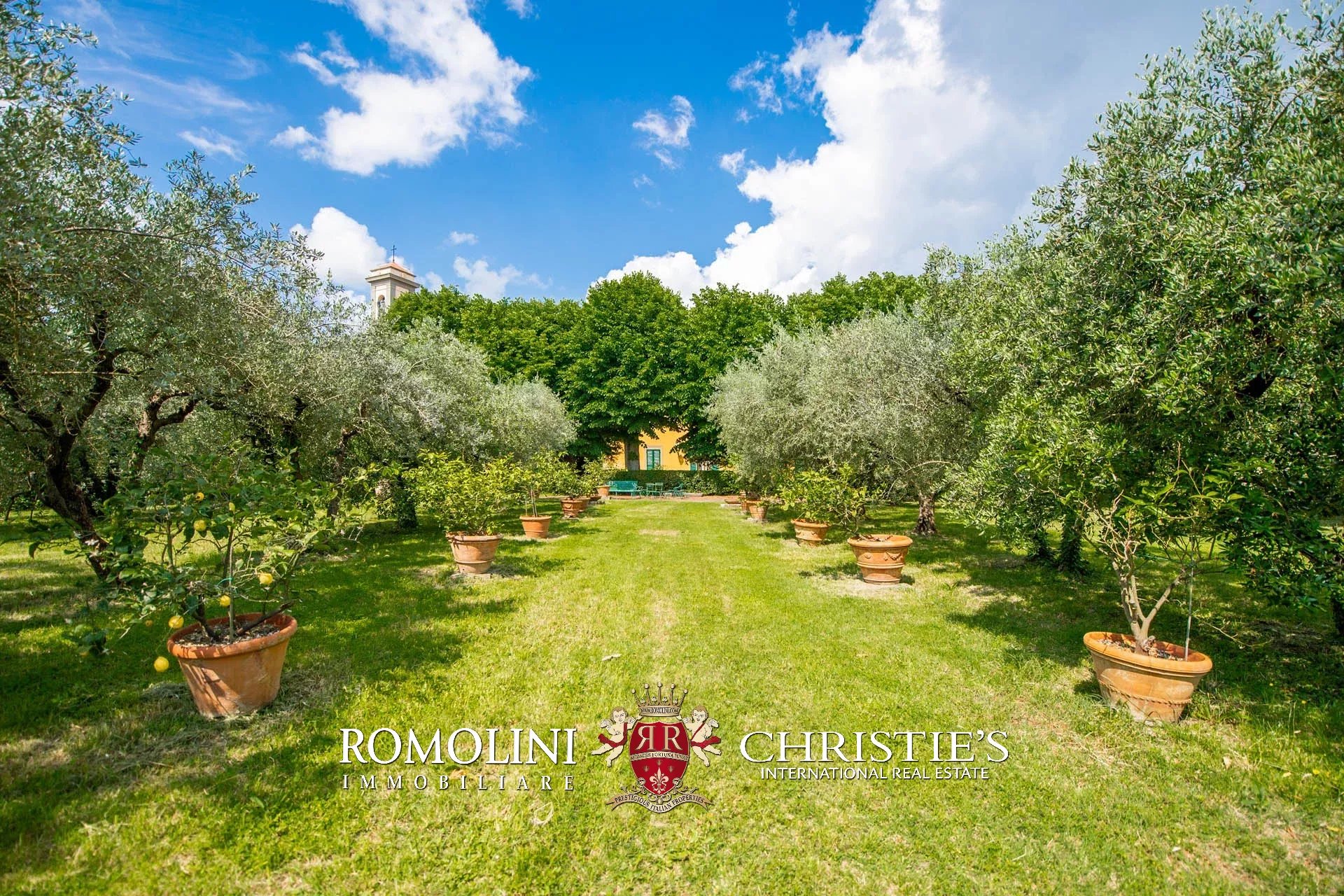 16 Bedroom Vineyard's Image 7