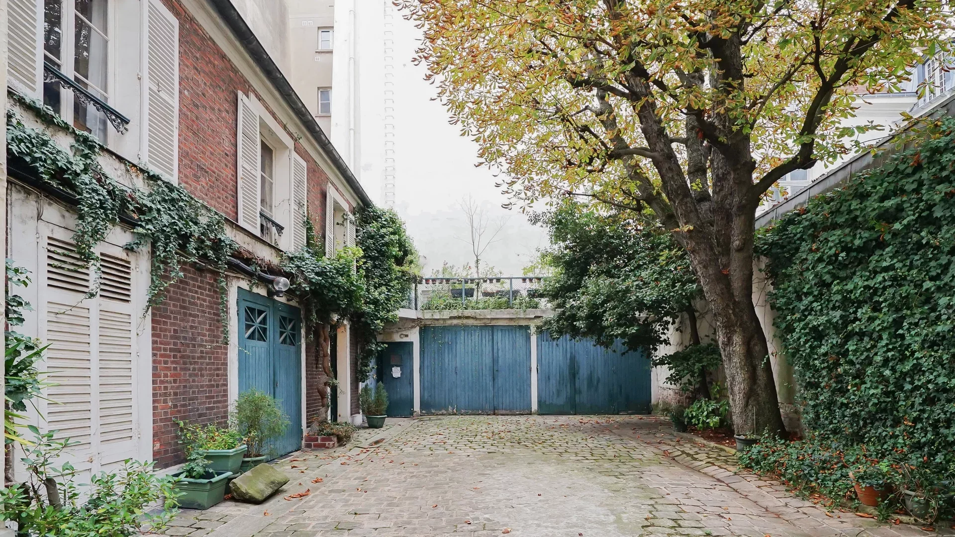 Paris 6e - TOURNON / LUXEMBOURG