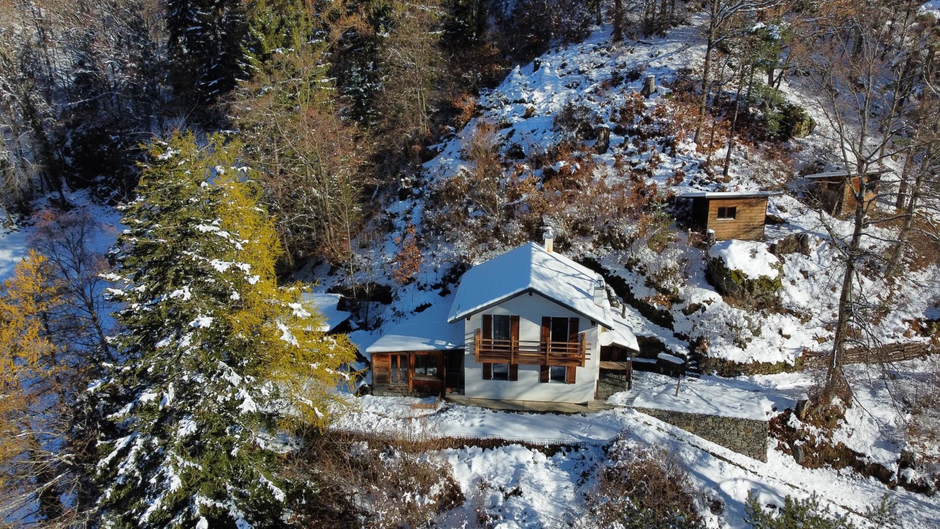 Vue panoramique sur le Mont-Blanc et la Cime de l'Est