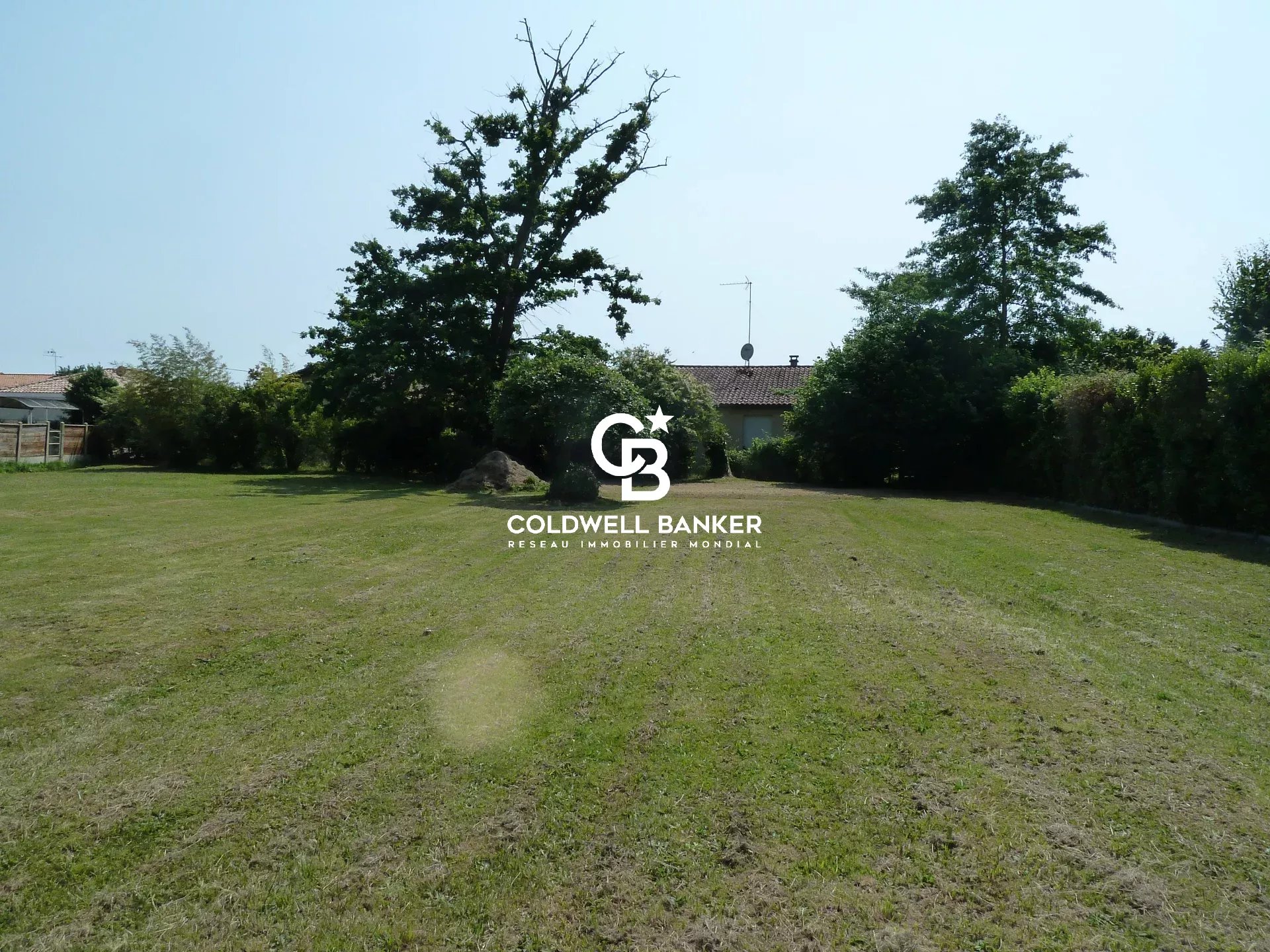 Agence immobilière de Silver Coast Int. Realty