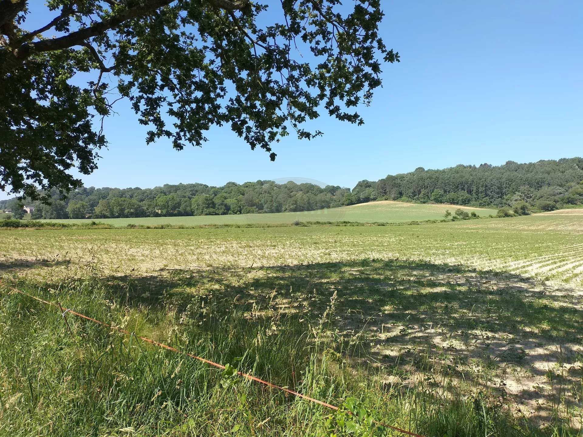 Terrain agricole de 9ha70 - Photo 4