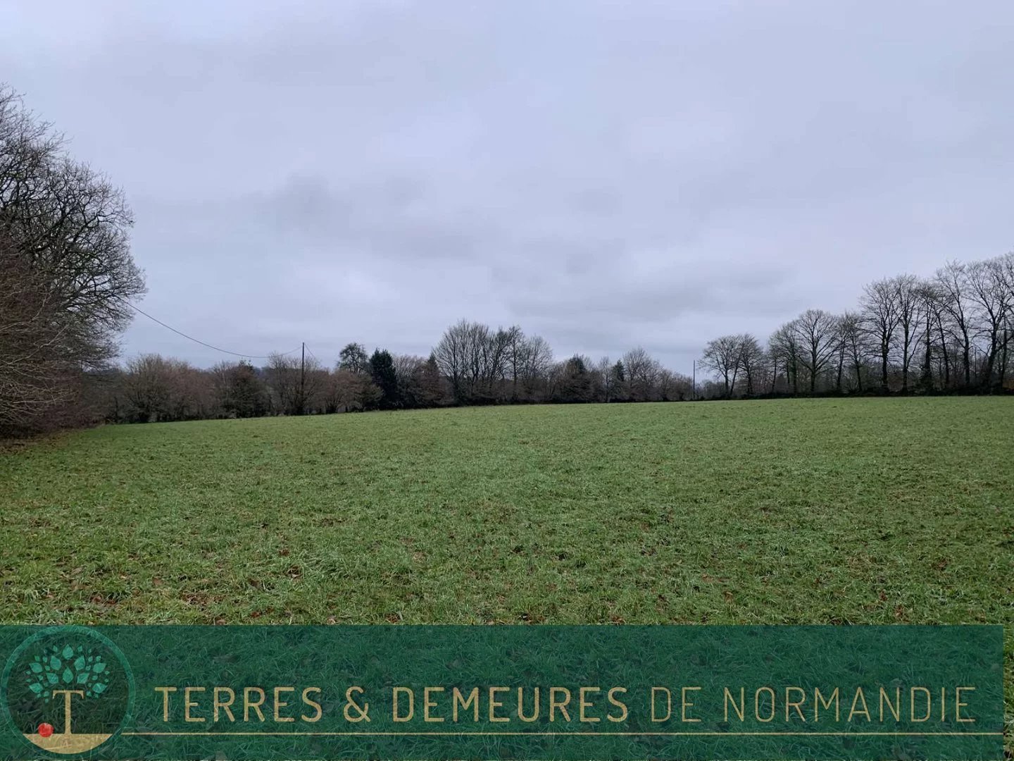 Vente Terrain inconstructible Sourdeval