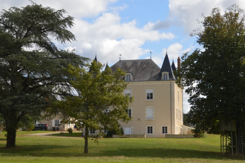 For Sale, Manor house Journet - picture 3