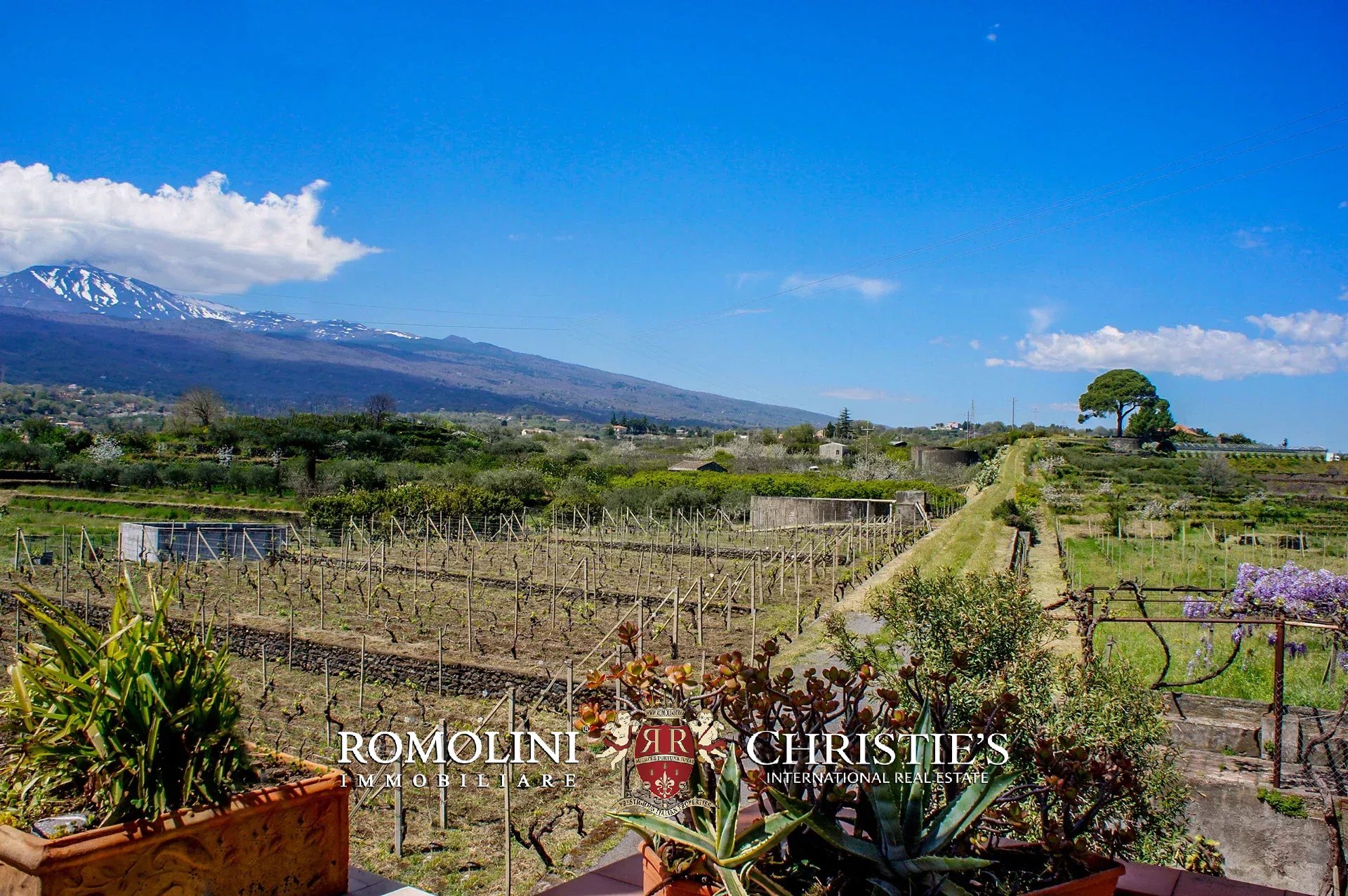 9 Bedroom Vineyard's Image 74