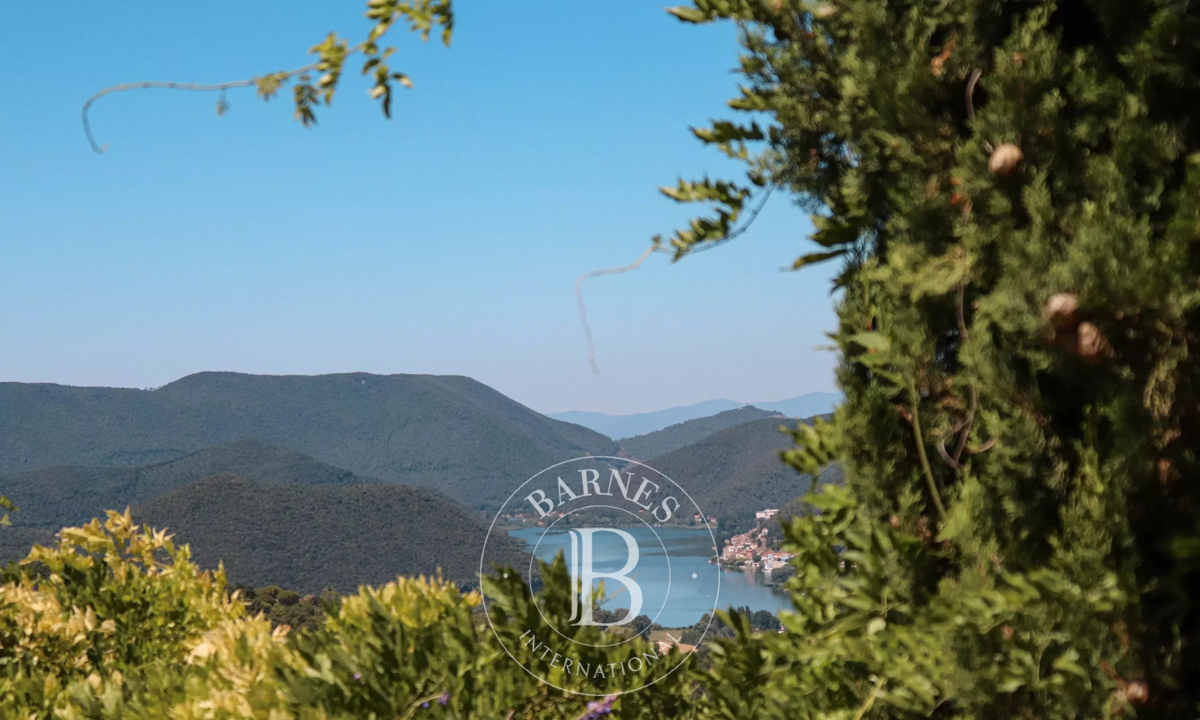 Villa Rieti - picture 5