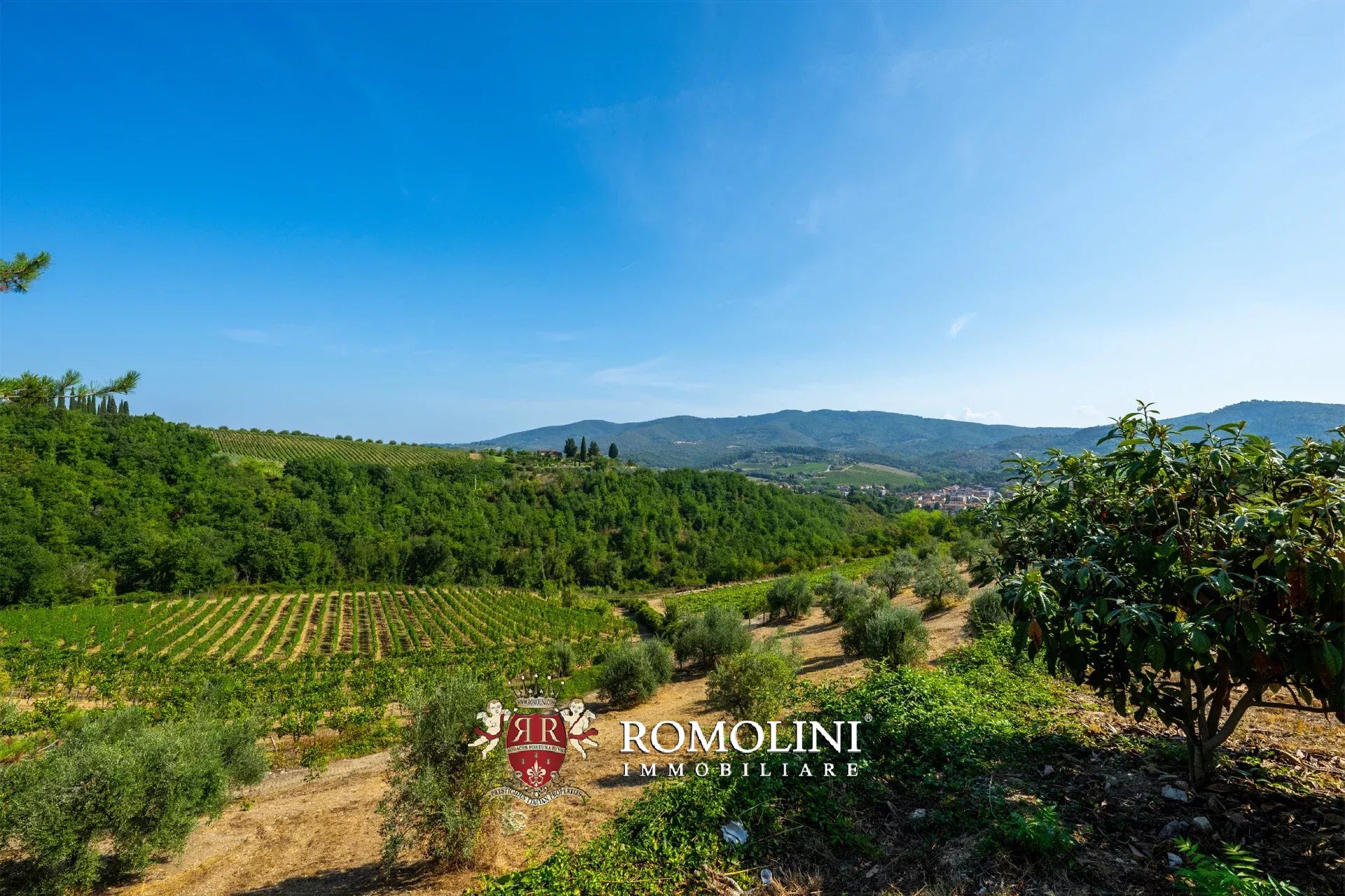 3 Bedroom Vineyard's Image 14