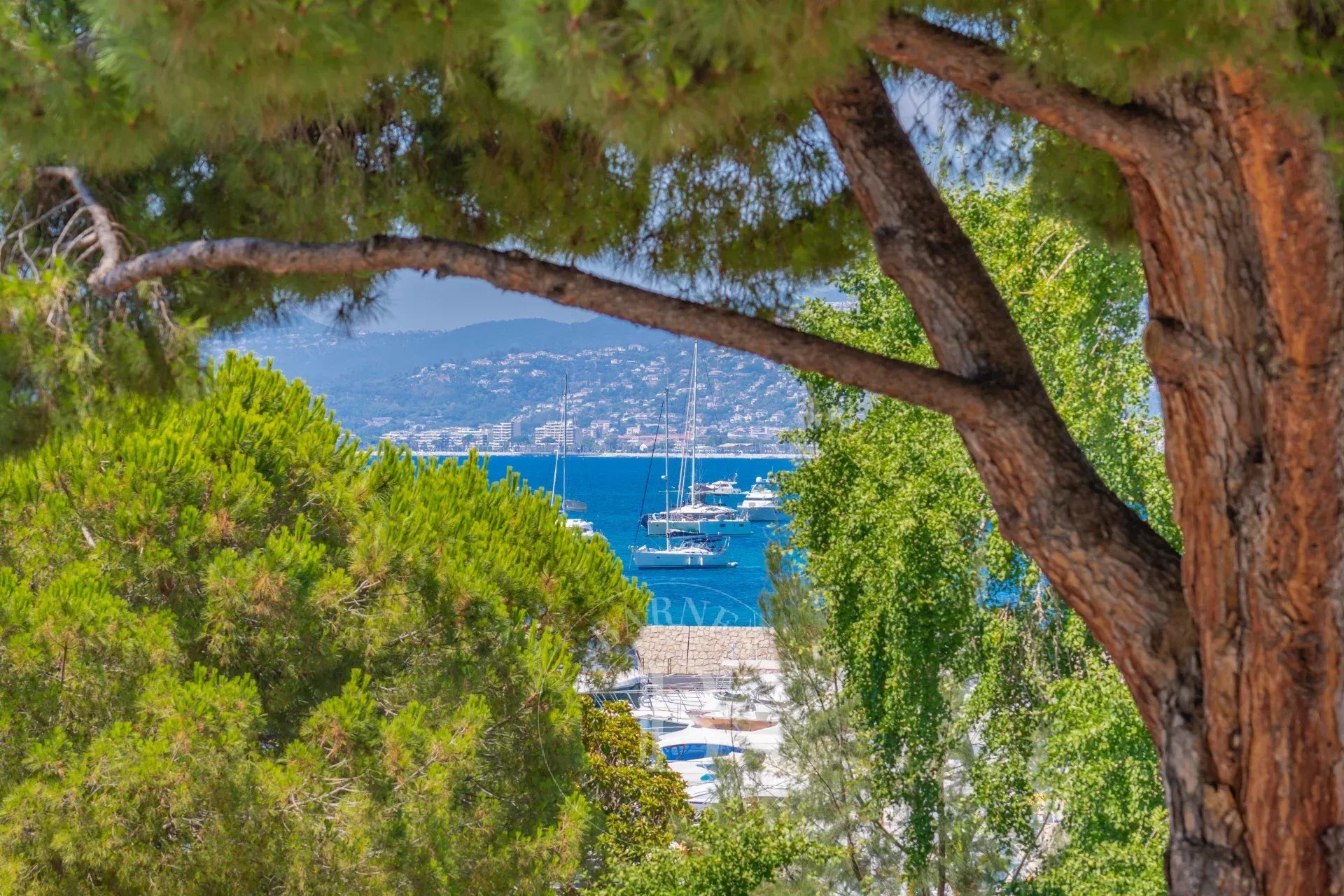 Daire Cannes - picture 12