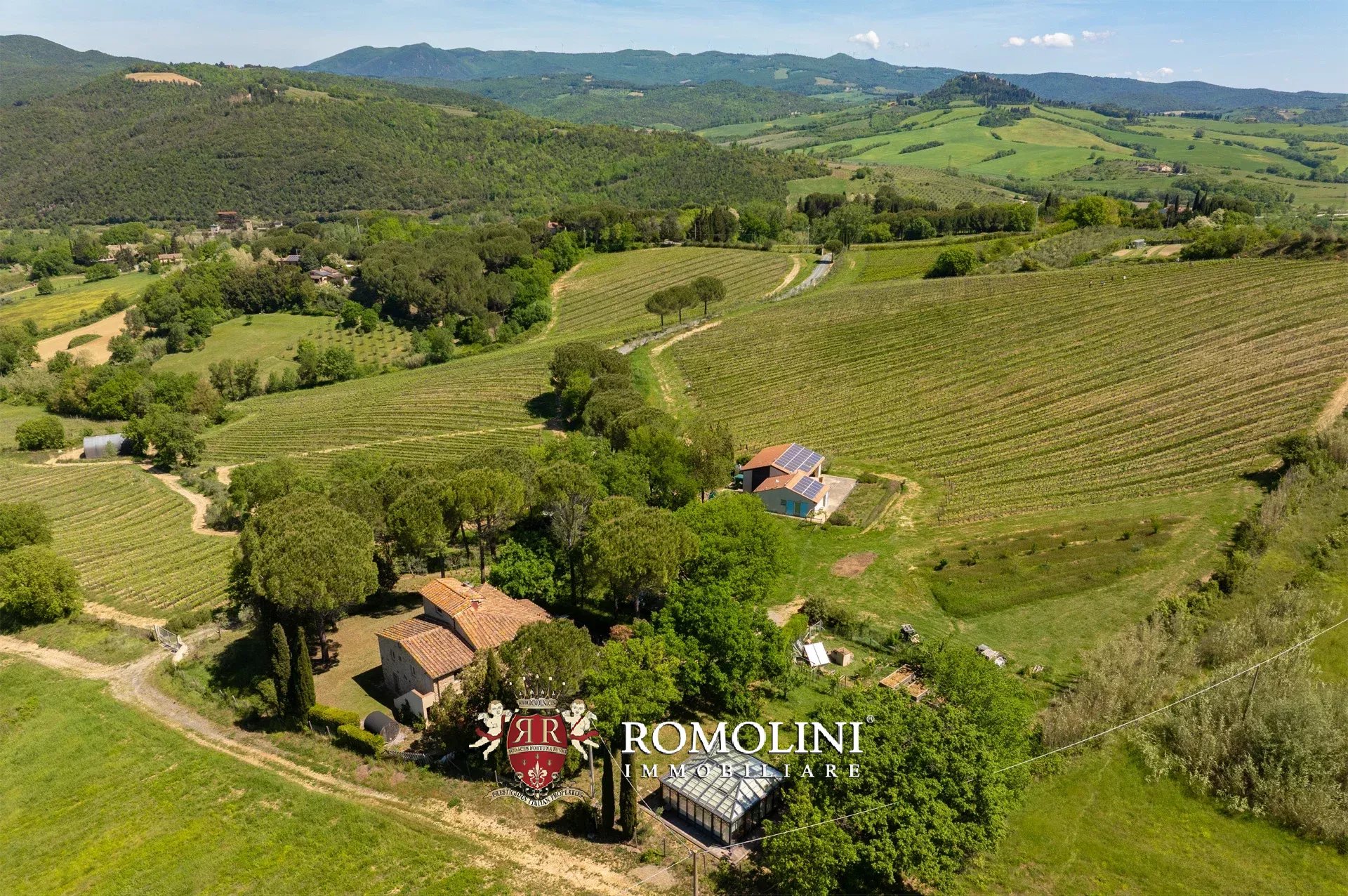 Montescudaio