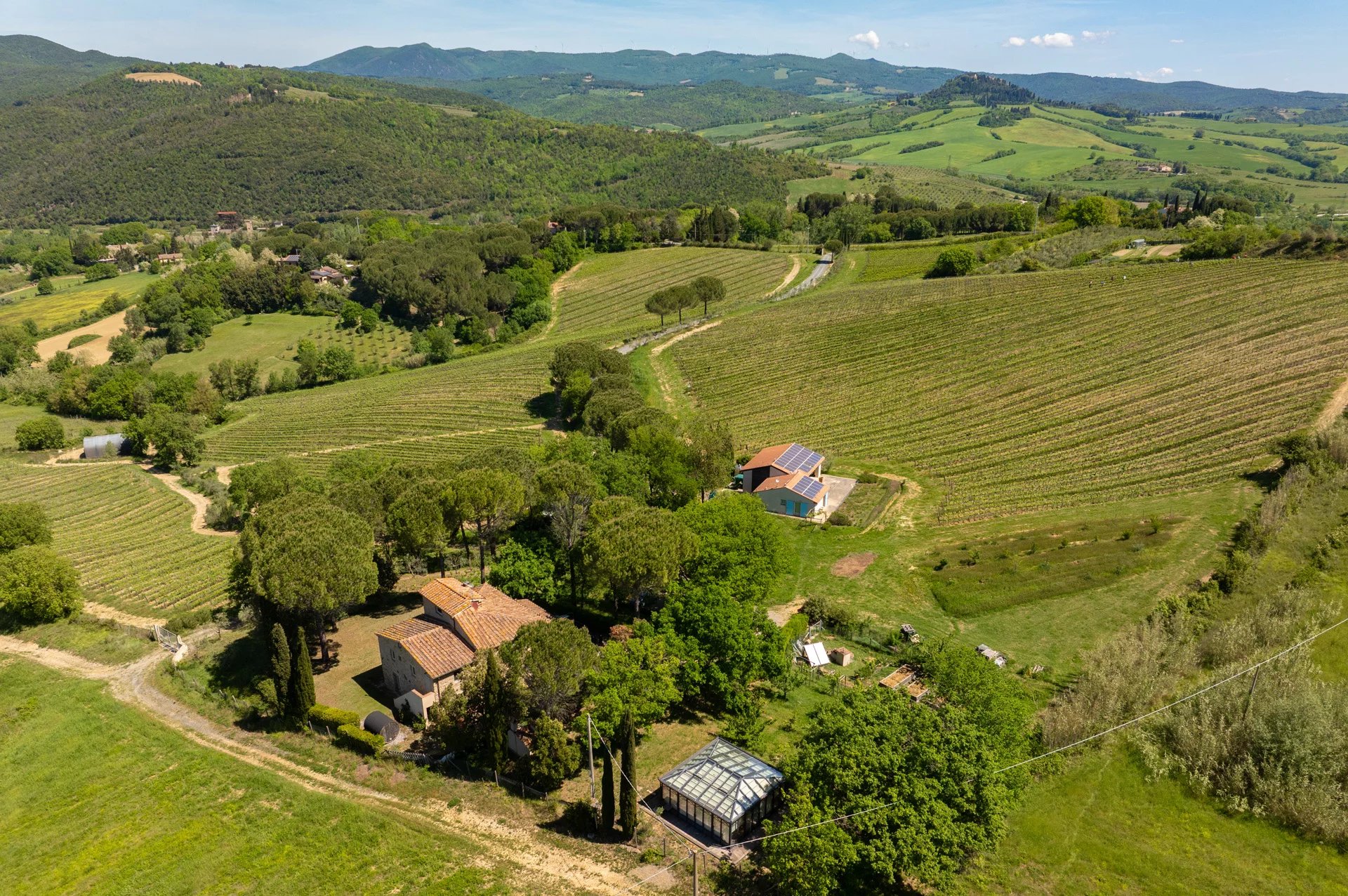  AZIENDA VINICOLA CON 28 HA DI VIGNETO IN VENDITA SULLA COSTA TOSCANA