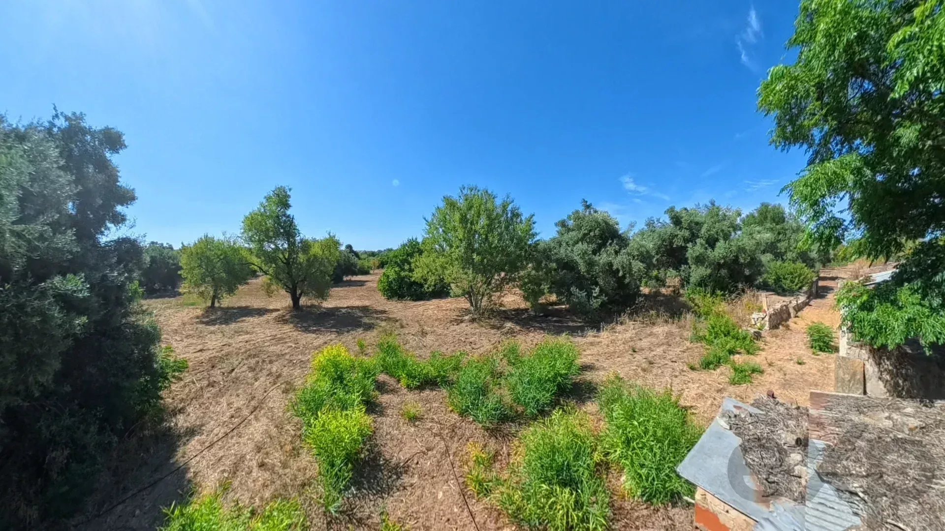 Traditional Countryside Property in Santo Estêvão, Tavira 87172633 image 20