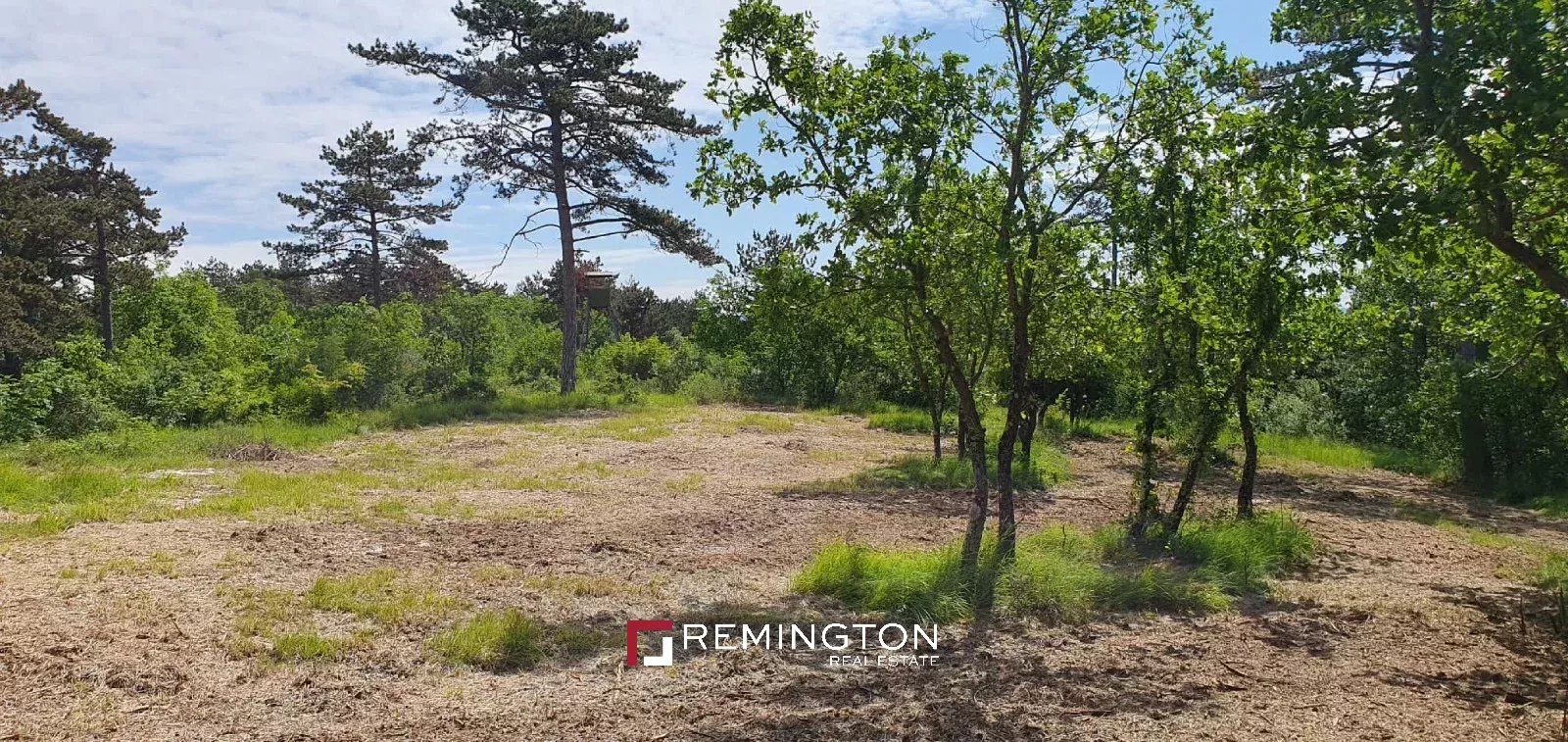 Land/Vacant Land's Image 10