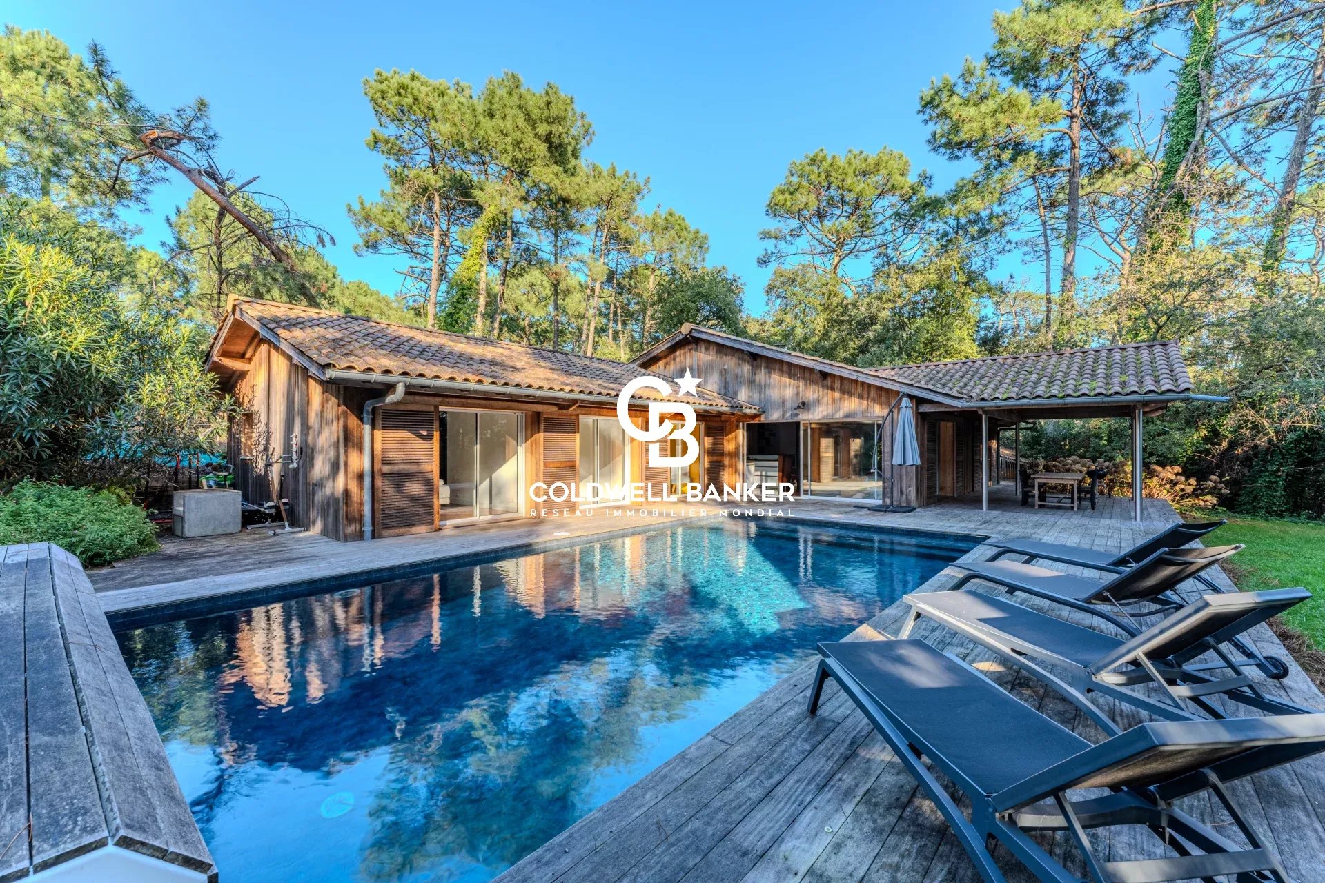 Agence immobilière de Silver Coast Int. Realty