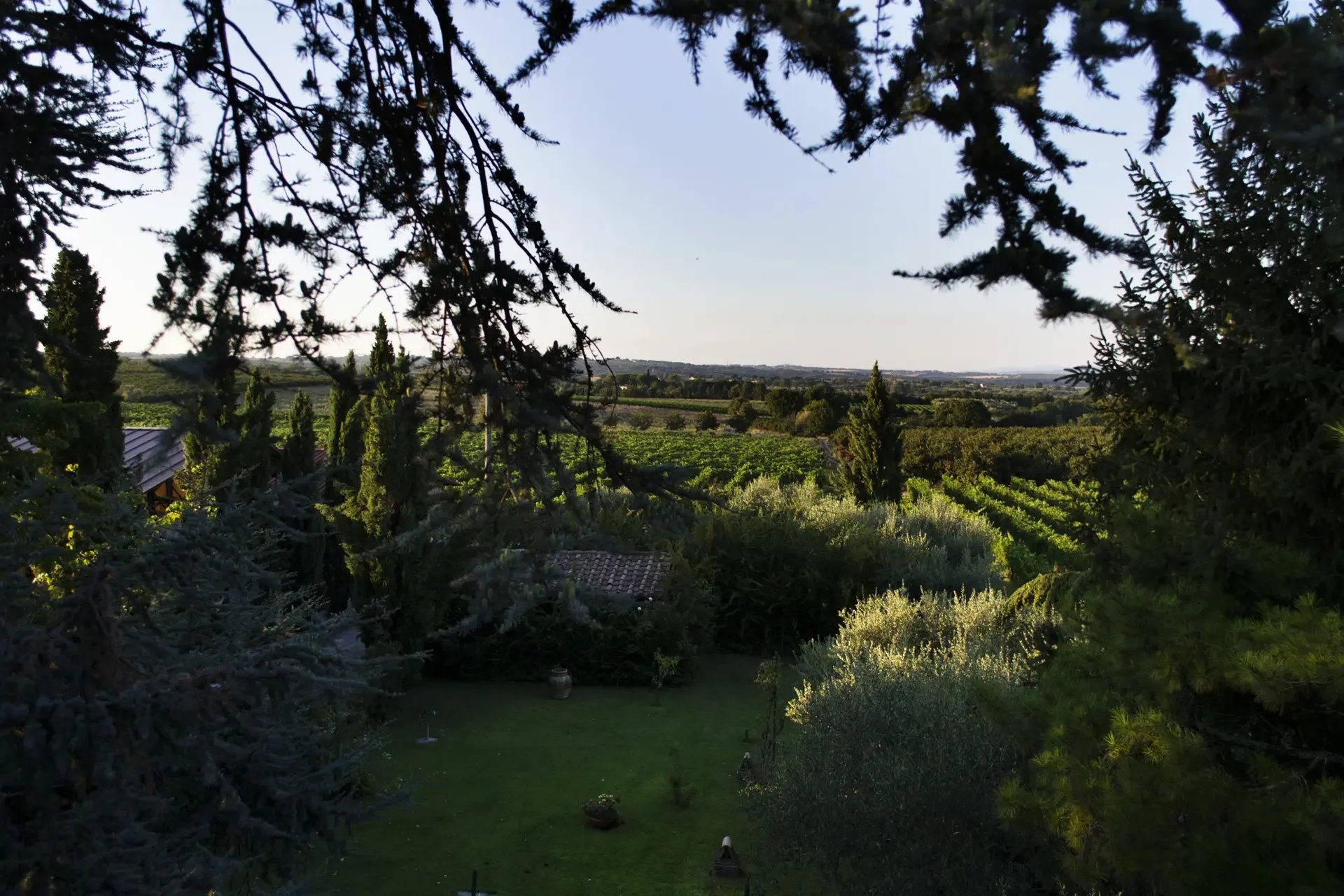 AZIENDA VITIVINICOLA BIOLOGICA CON 9,2 HA DI VIGNETO IN VENDITA NEL LAZIO