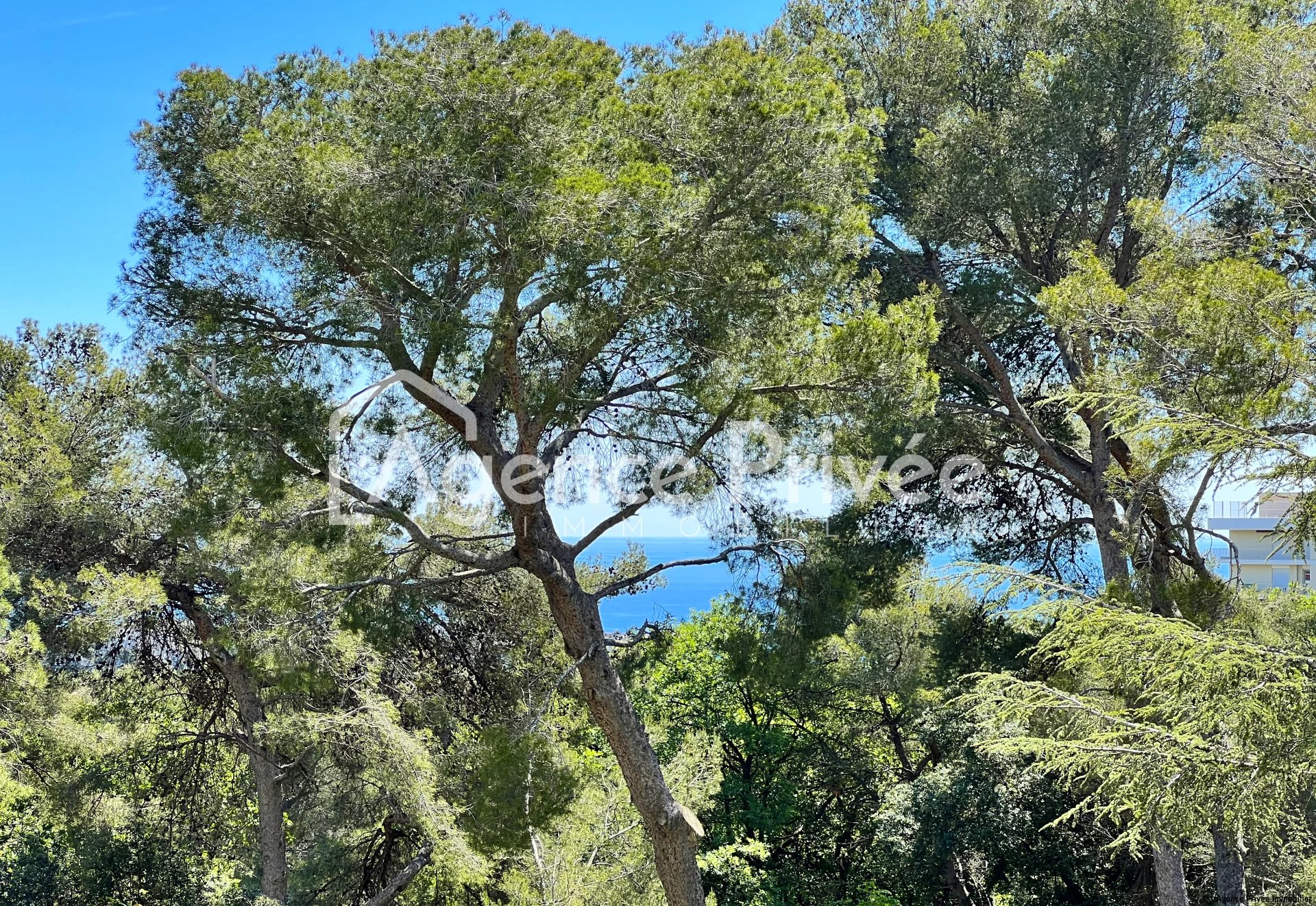 Sale Apartment - Cagnes-sur-Mer