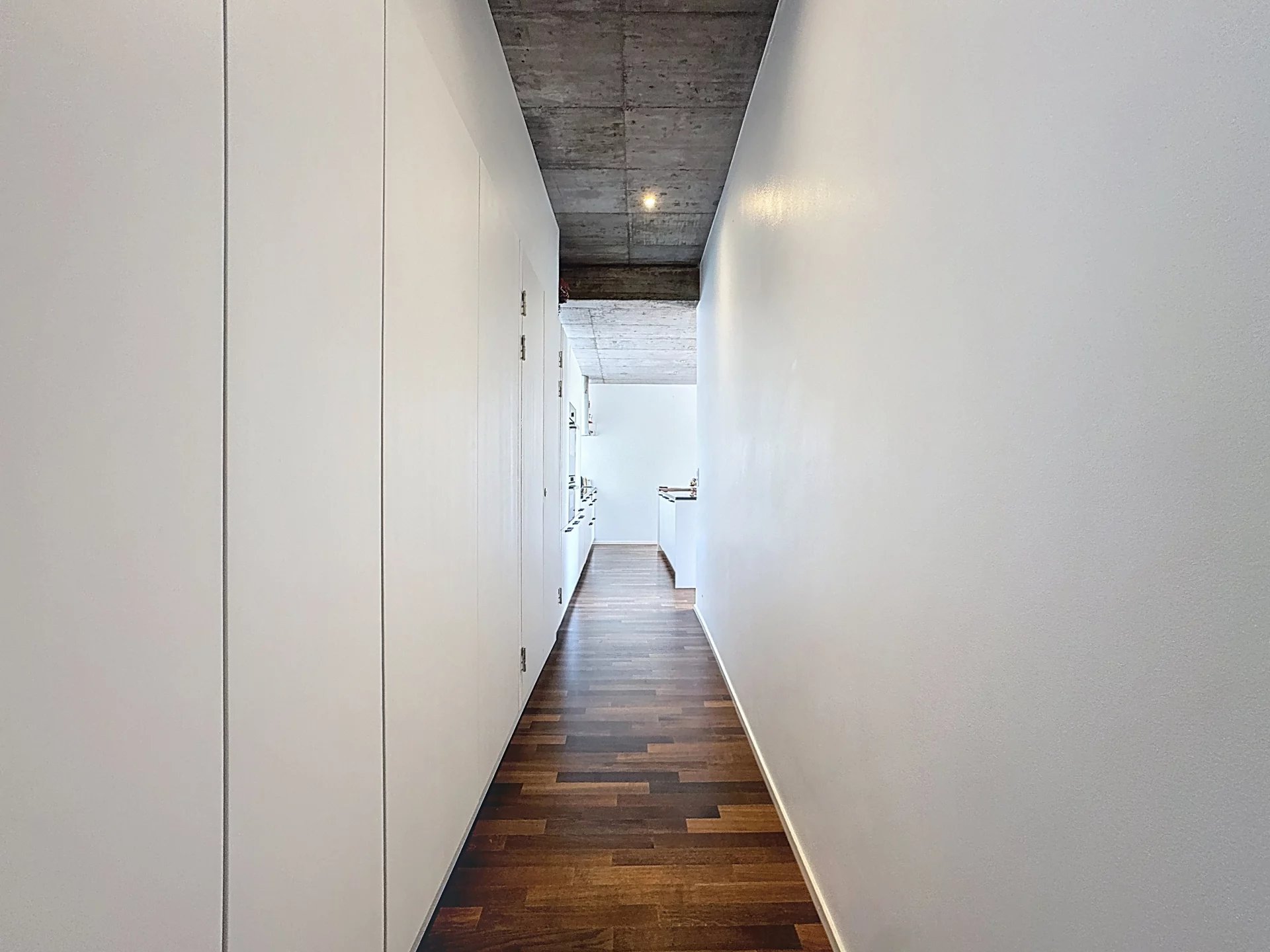 Magnifique appartement avec vue lac