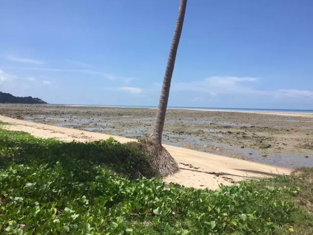 KHO SAMUI  BANG KAO TERRAIN PIEDS DANS L EAU