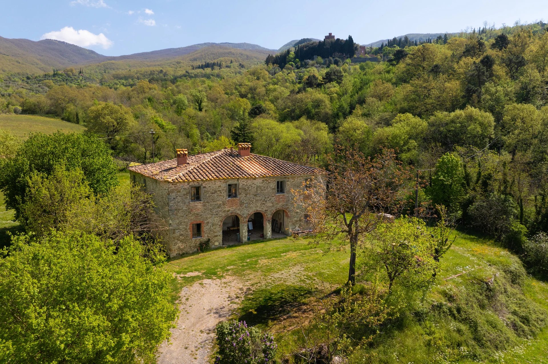  AZIENDA AGRICOLA BIOLOGICA IN VENDITA IN TOSCANA, CASENTINO