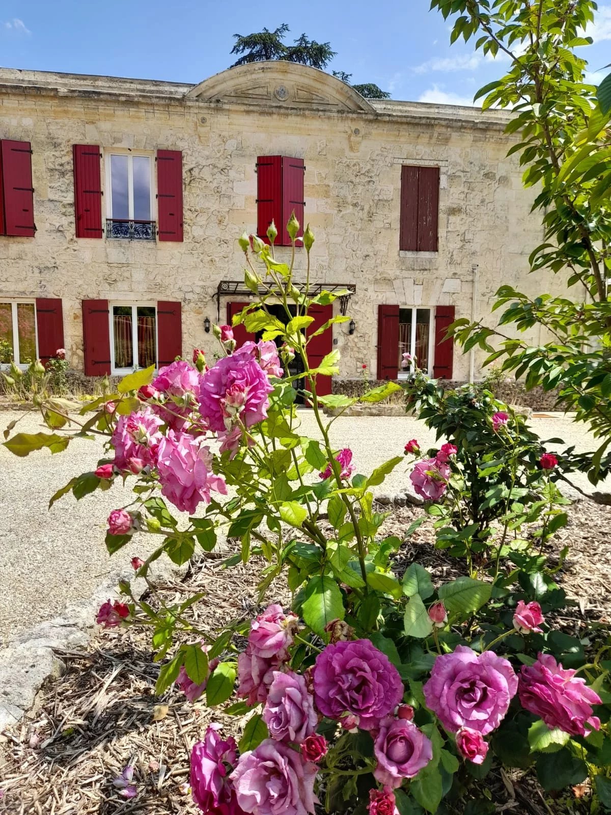 Superbe rez-de-jardin sur les bords de Garonne