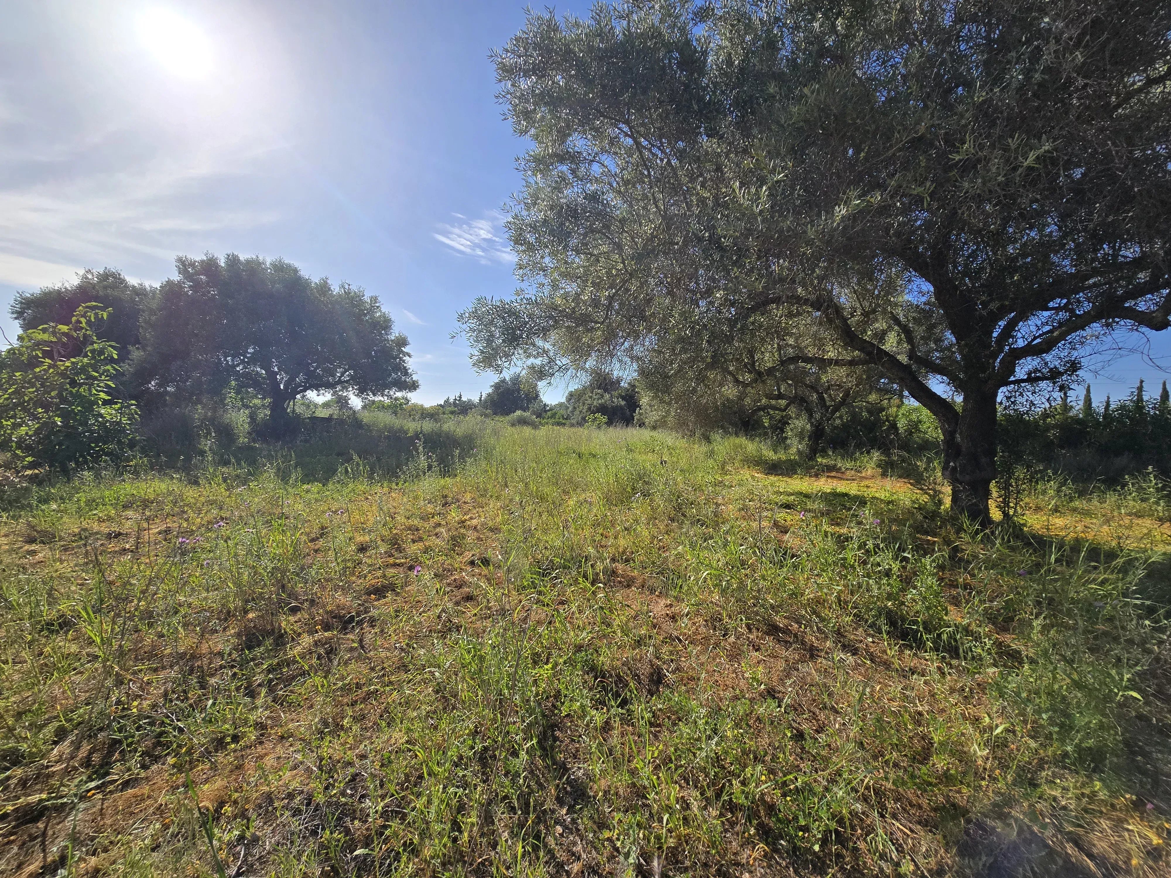6 room Farmhouse with 1.5 hectares of land and sea view 86949039 image 45