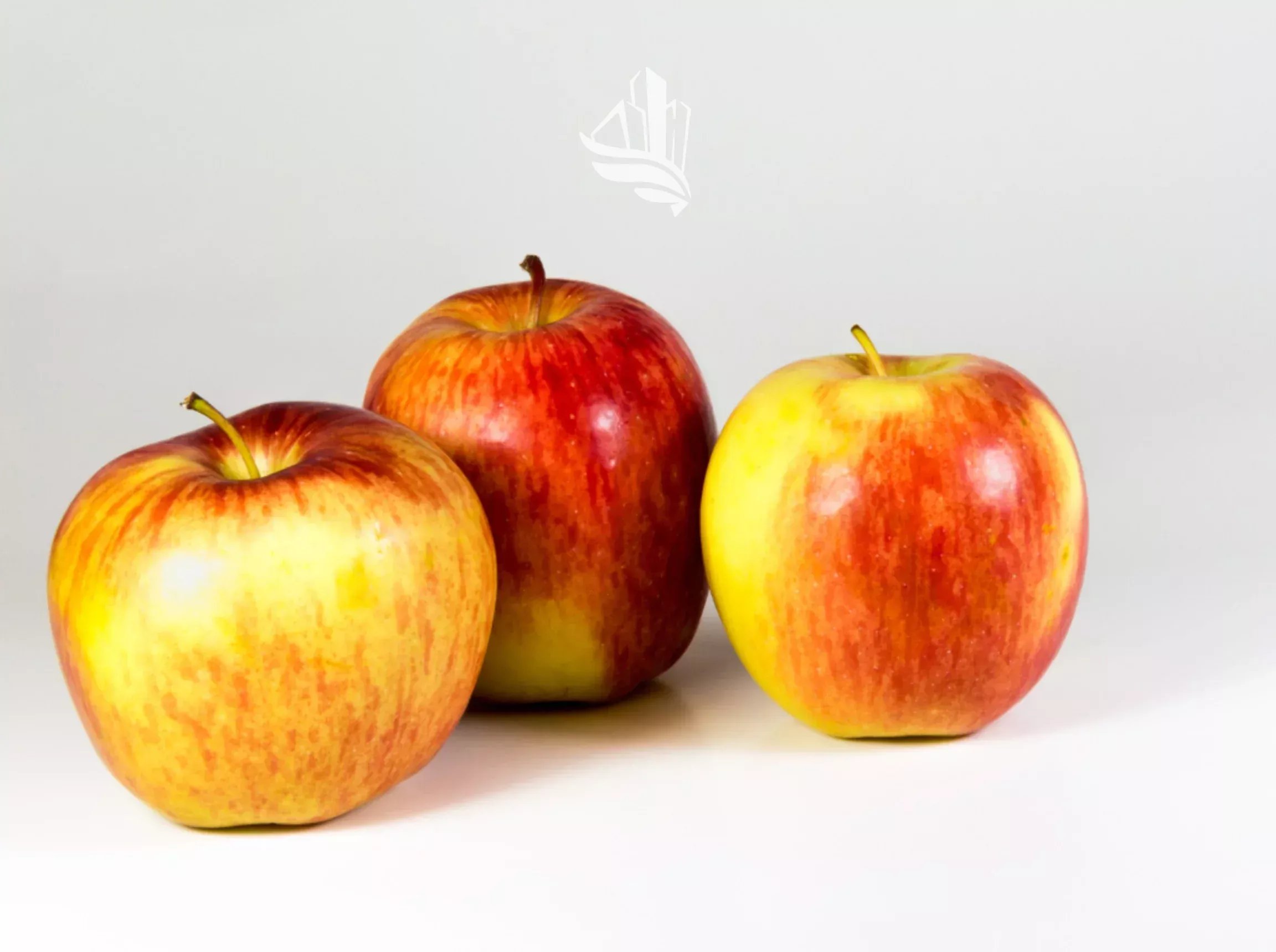 Auer: Bio-Obstwiese