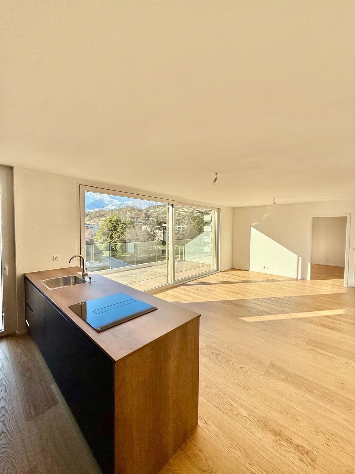 Splendide attique 3.5 pièces neuf à Sion