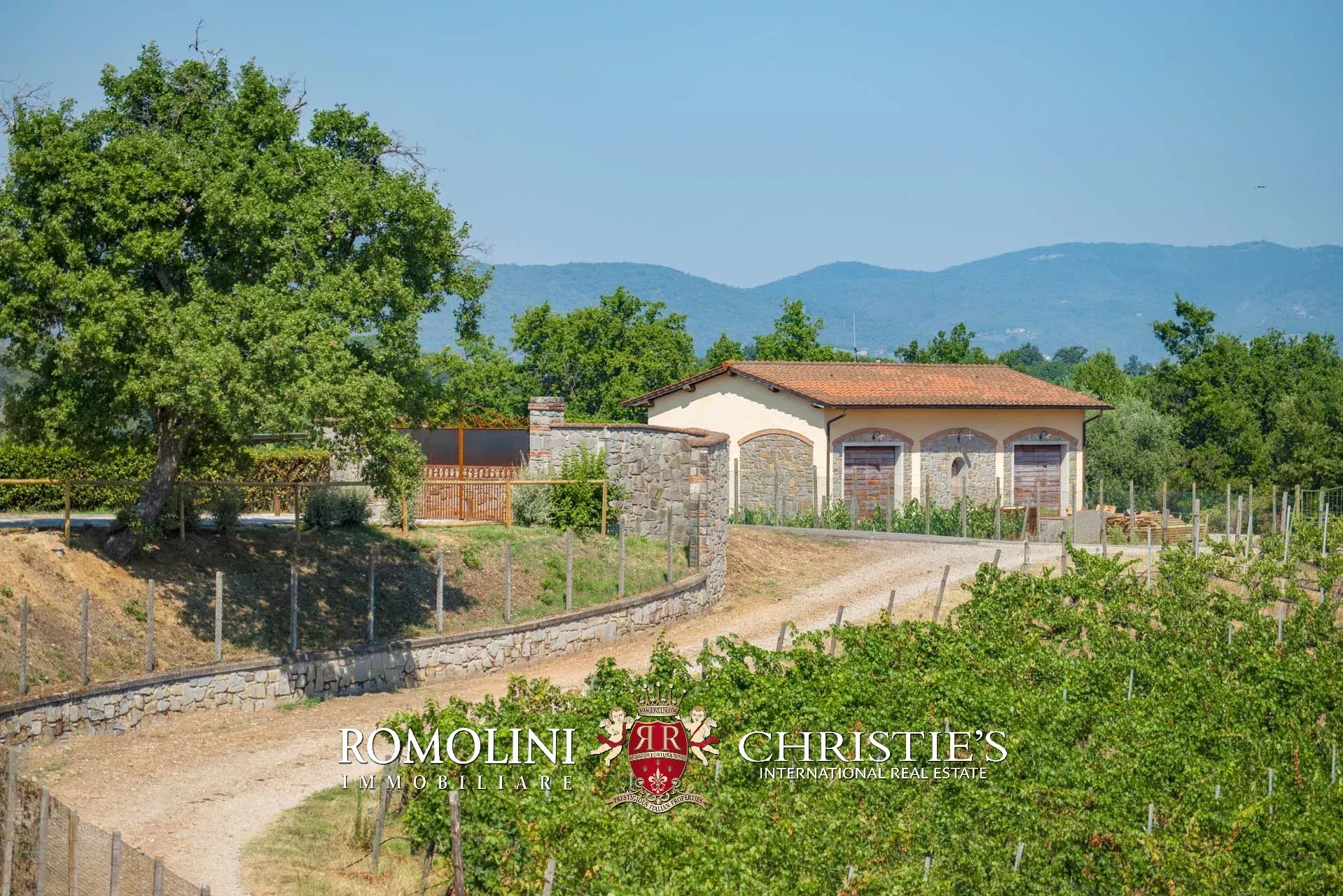 4 Bedroom Vineyard's Image 14