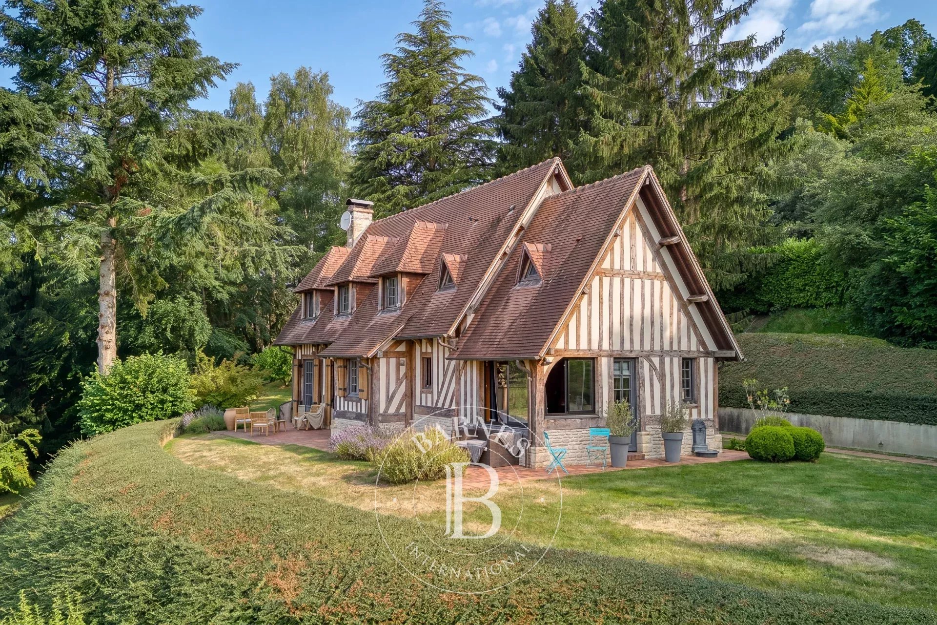 Pierrefitte-en-Auge  - House 4 Bedrooms - picture 17