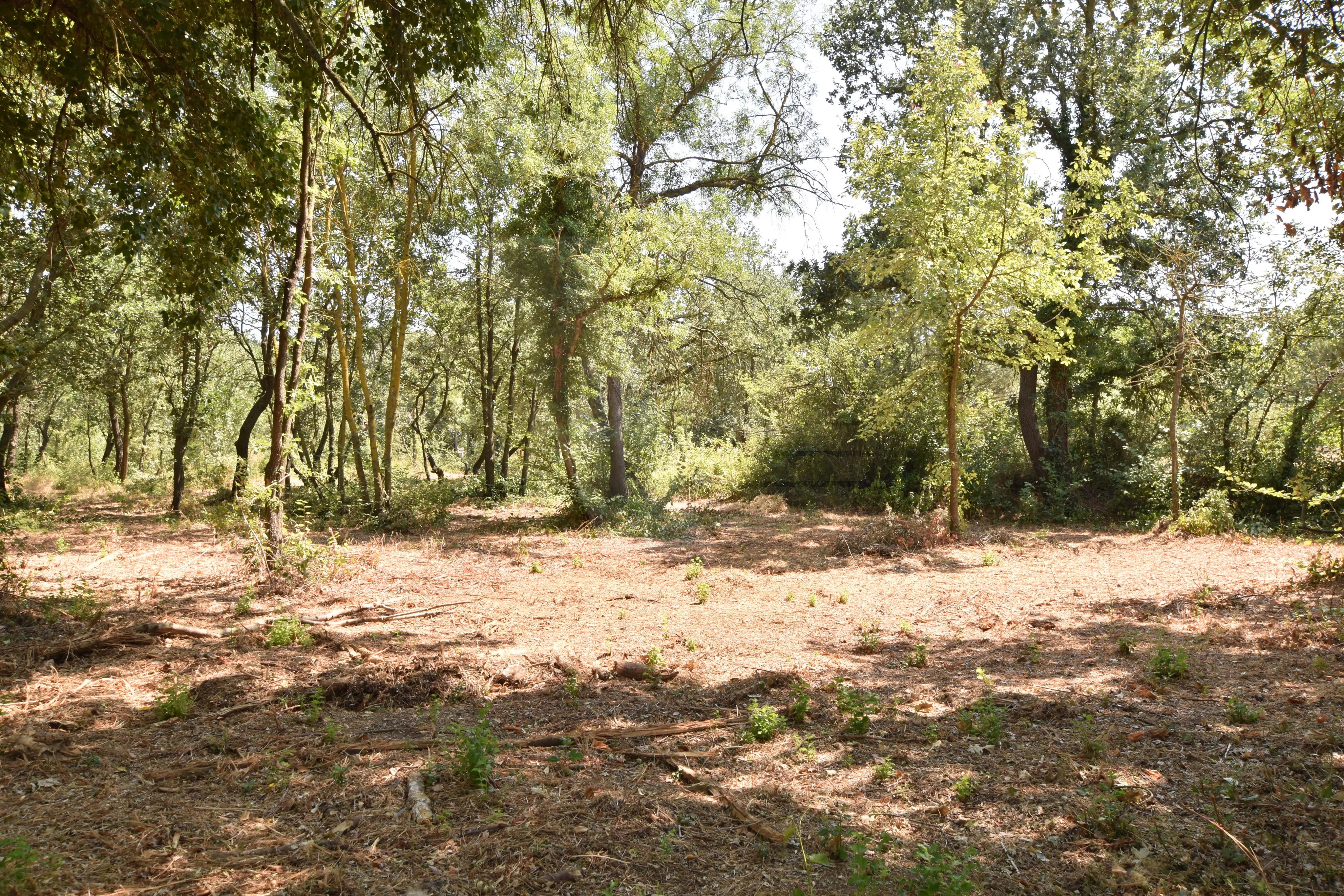 Vente Terrain Maraussan